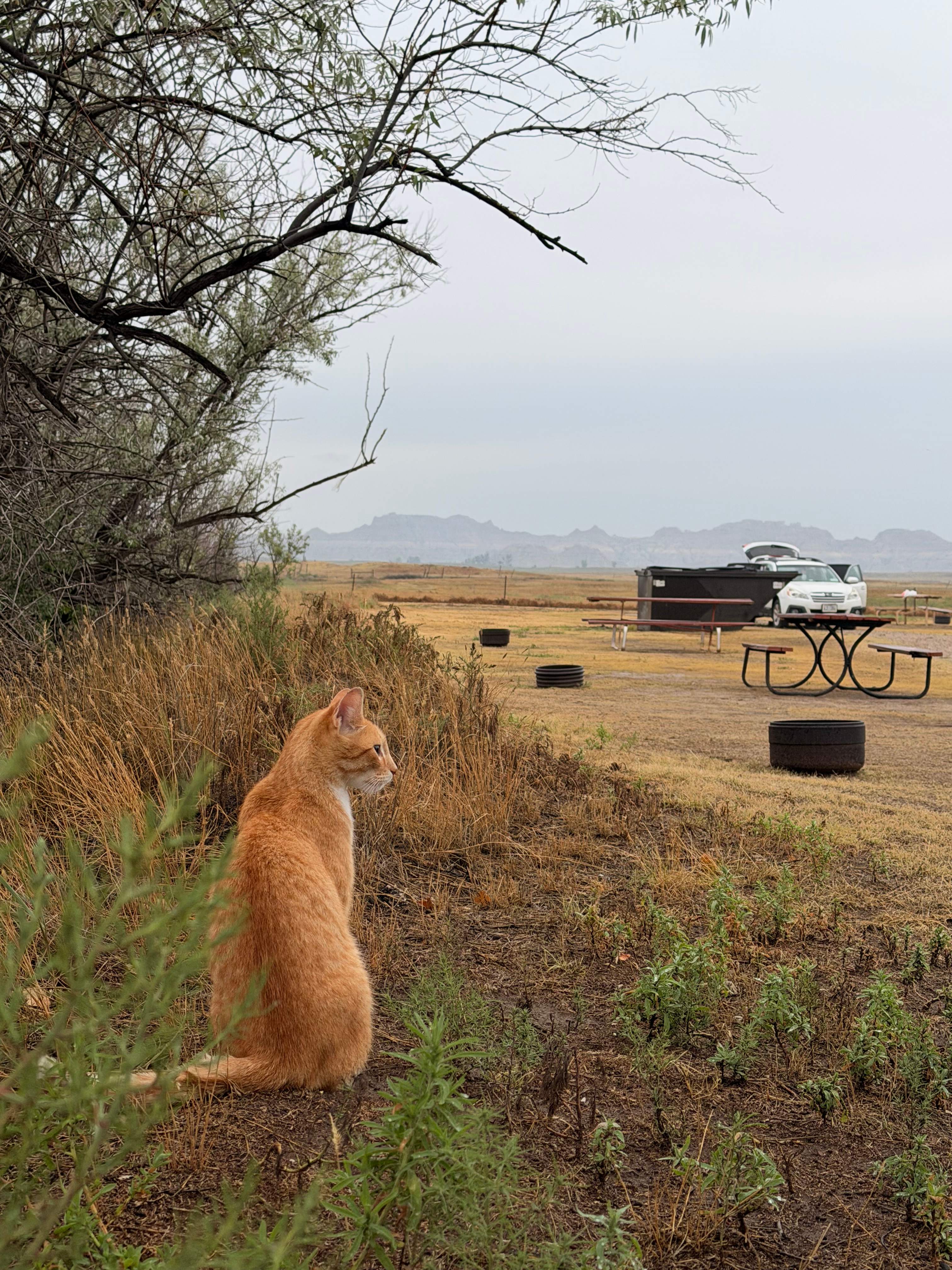 Badlands Hotel & Campground