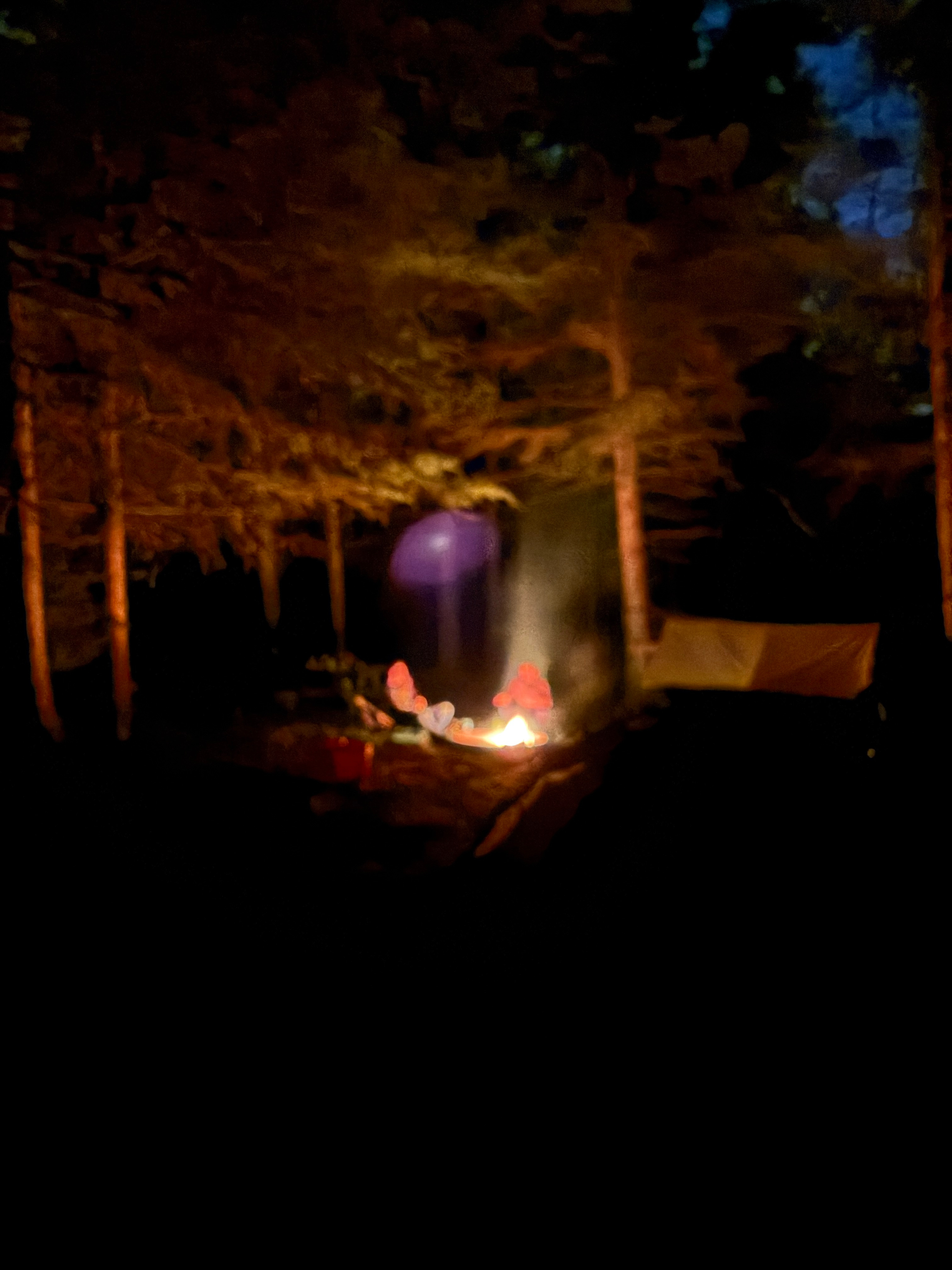 40 Acre Wood