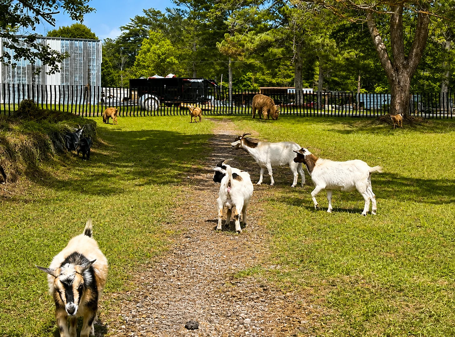 Canyon Land RV Park