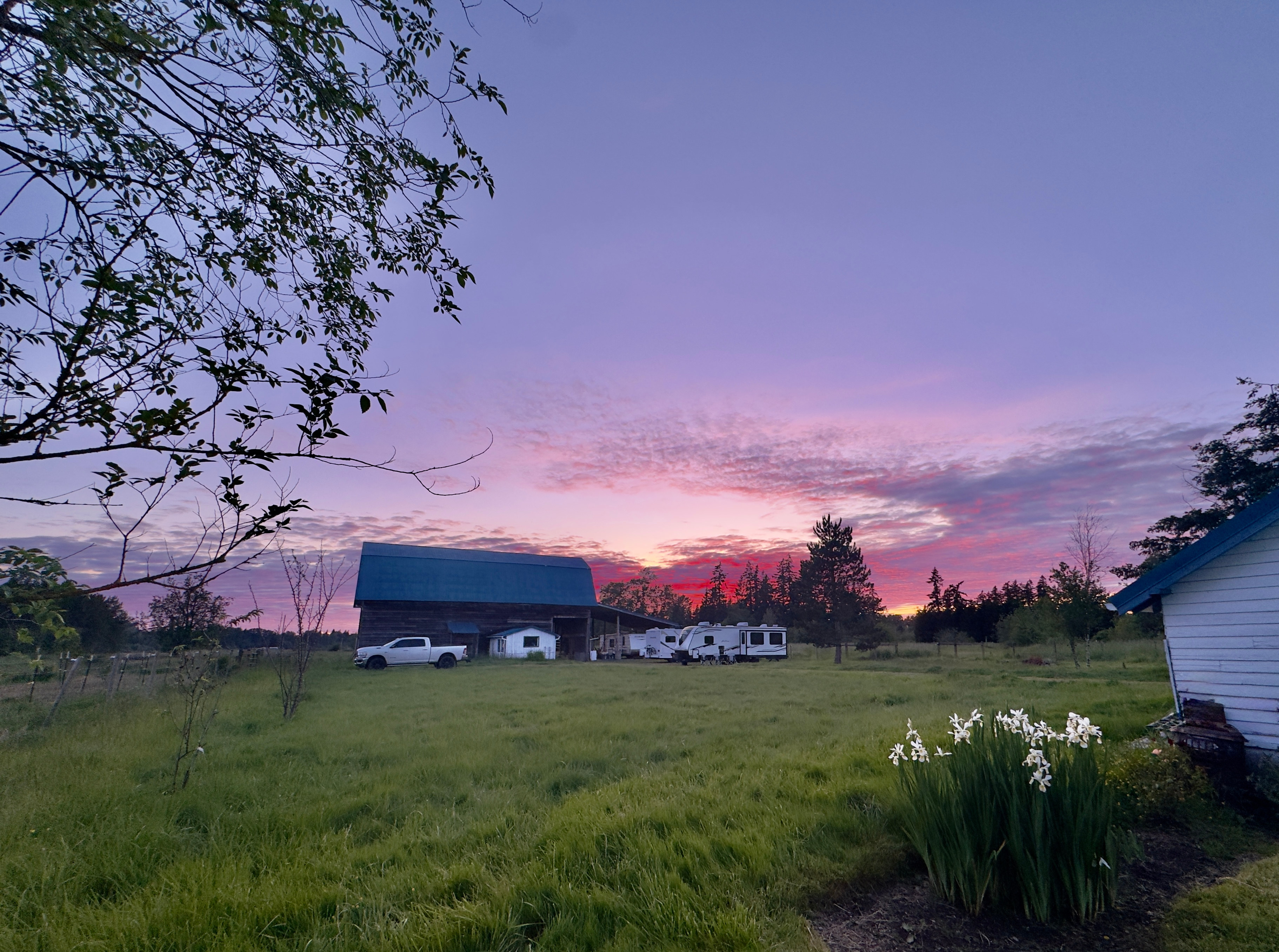 Starlit Skies Ranch