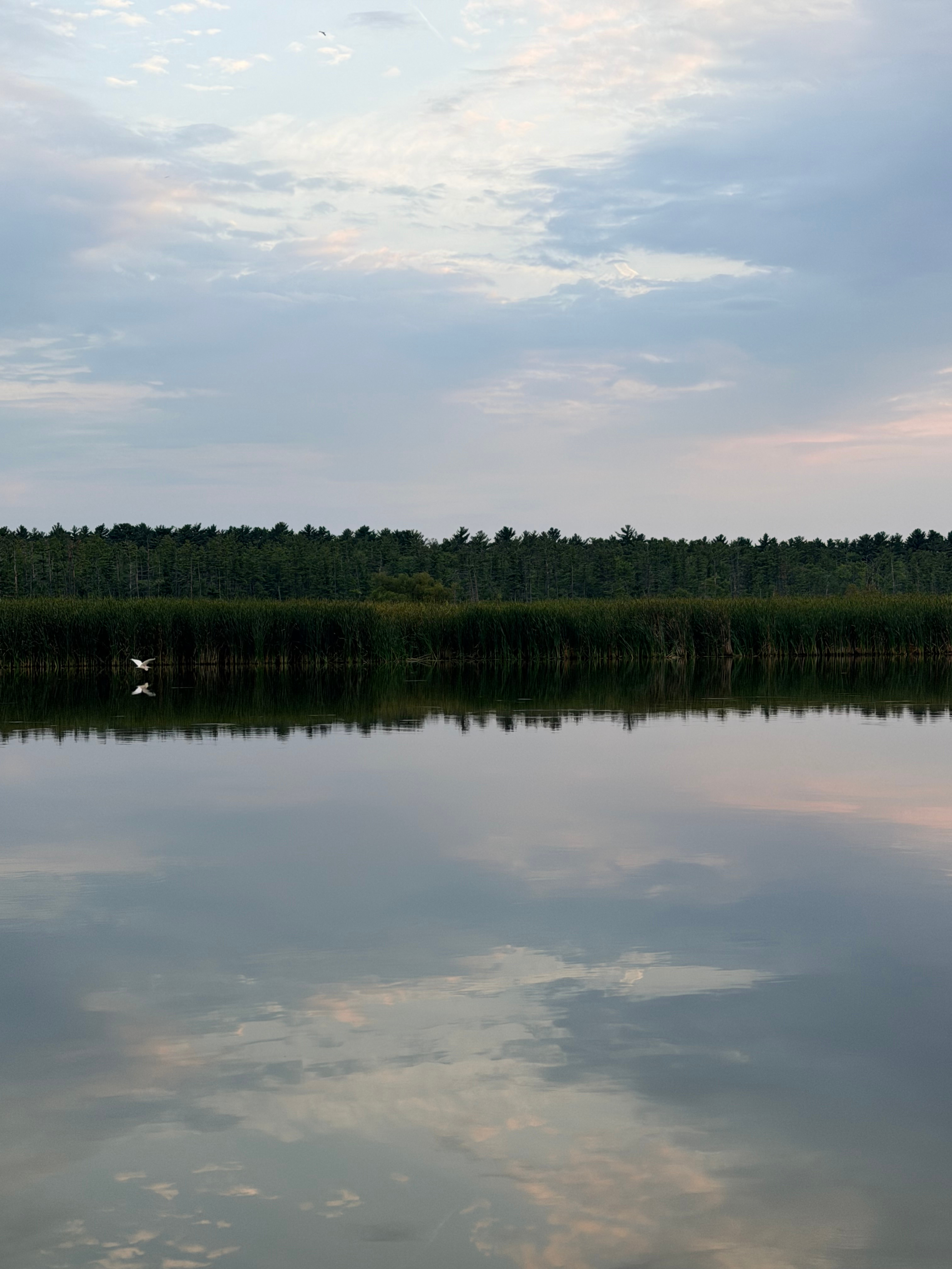 Blue Loon River House