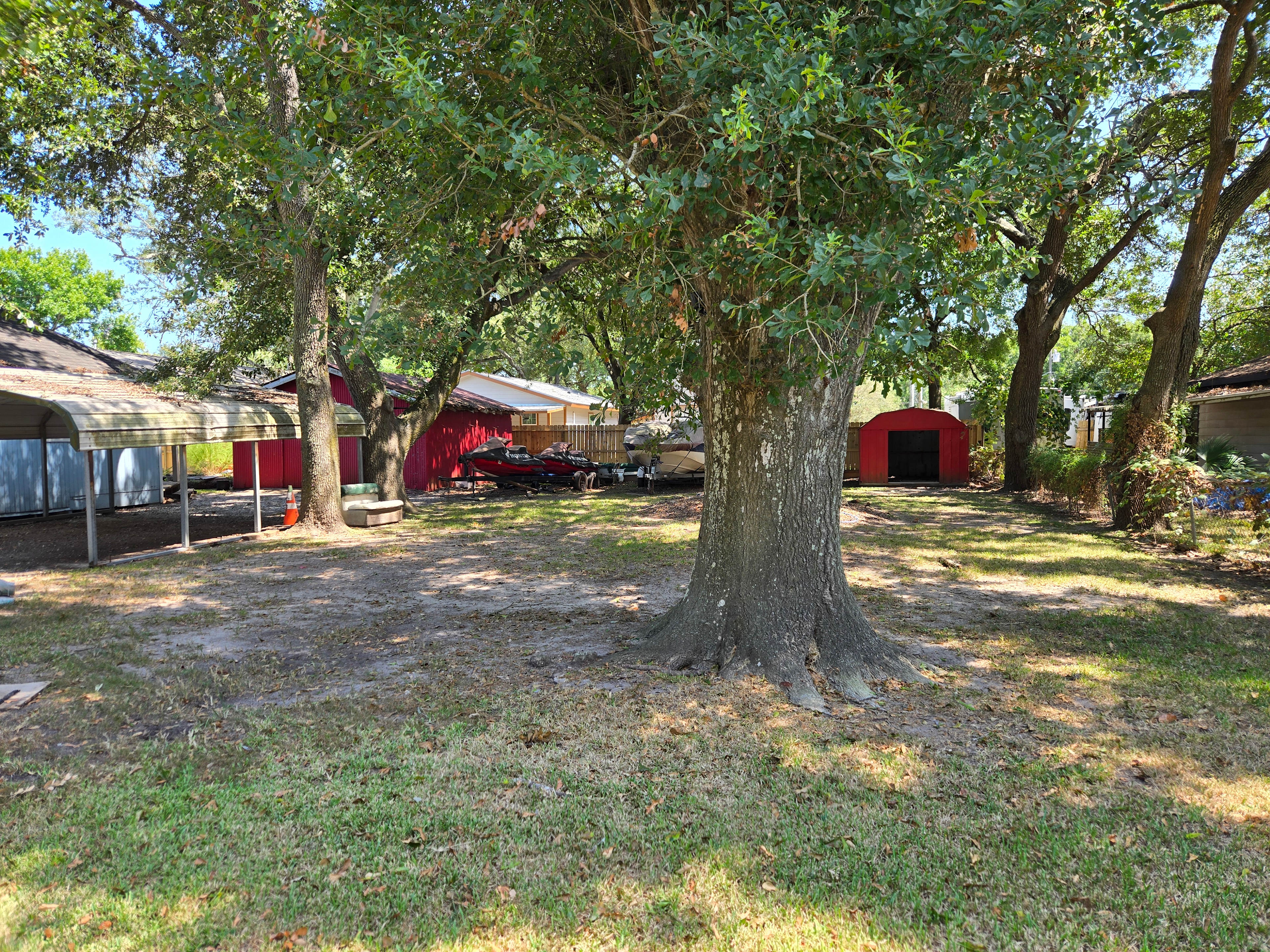 Open side yard with tall, shady trees