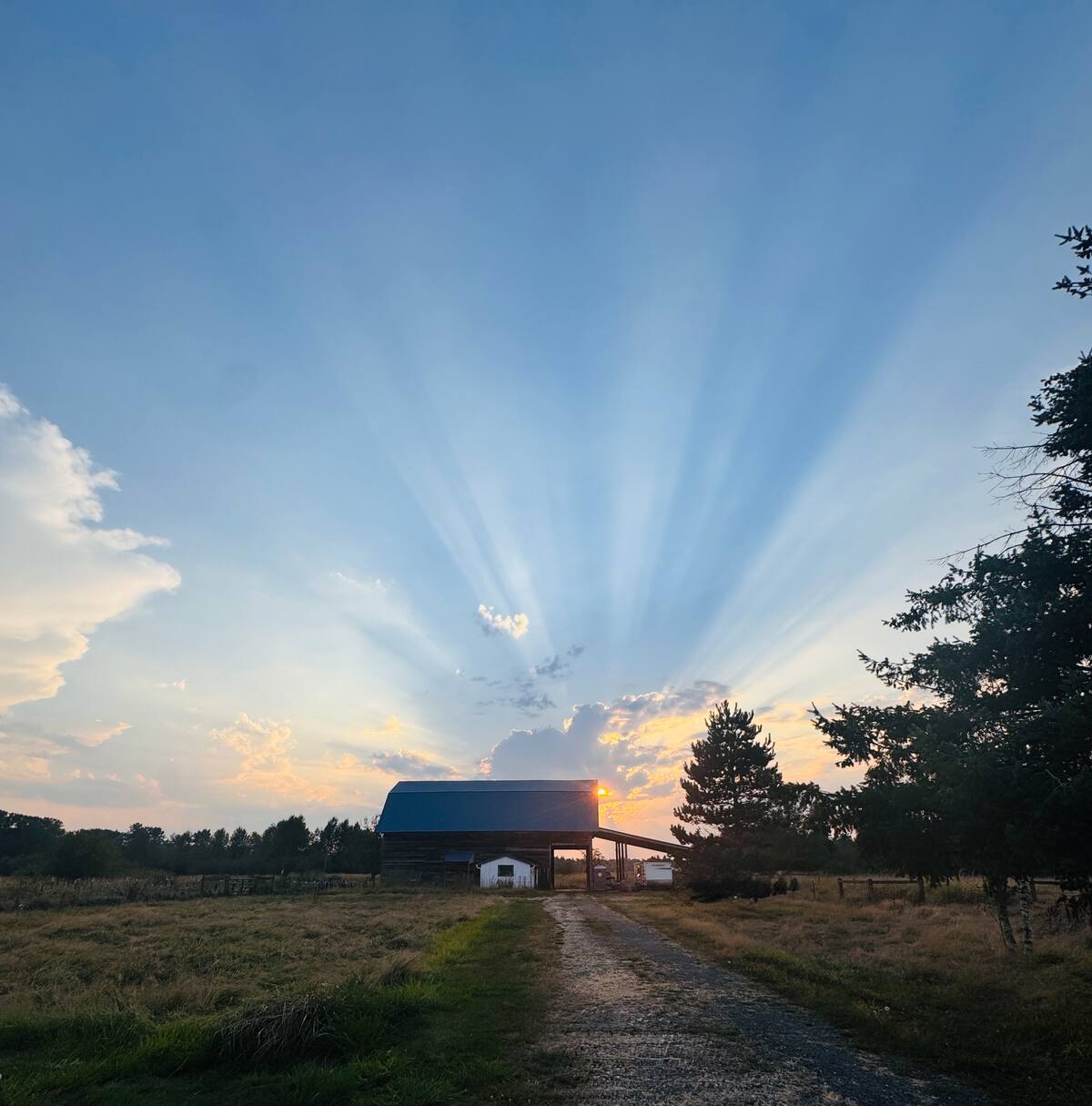 Starlit Skies Ranch