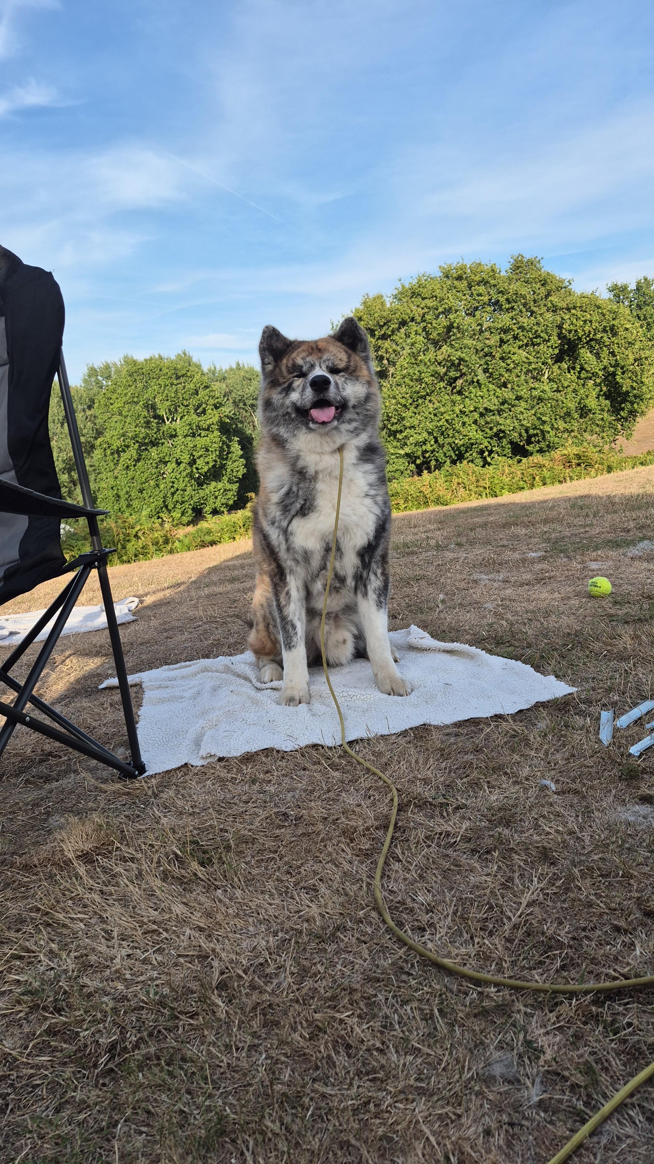 Oak Valley Lodges & Camping