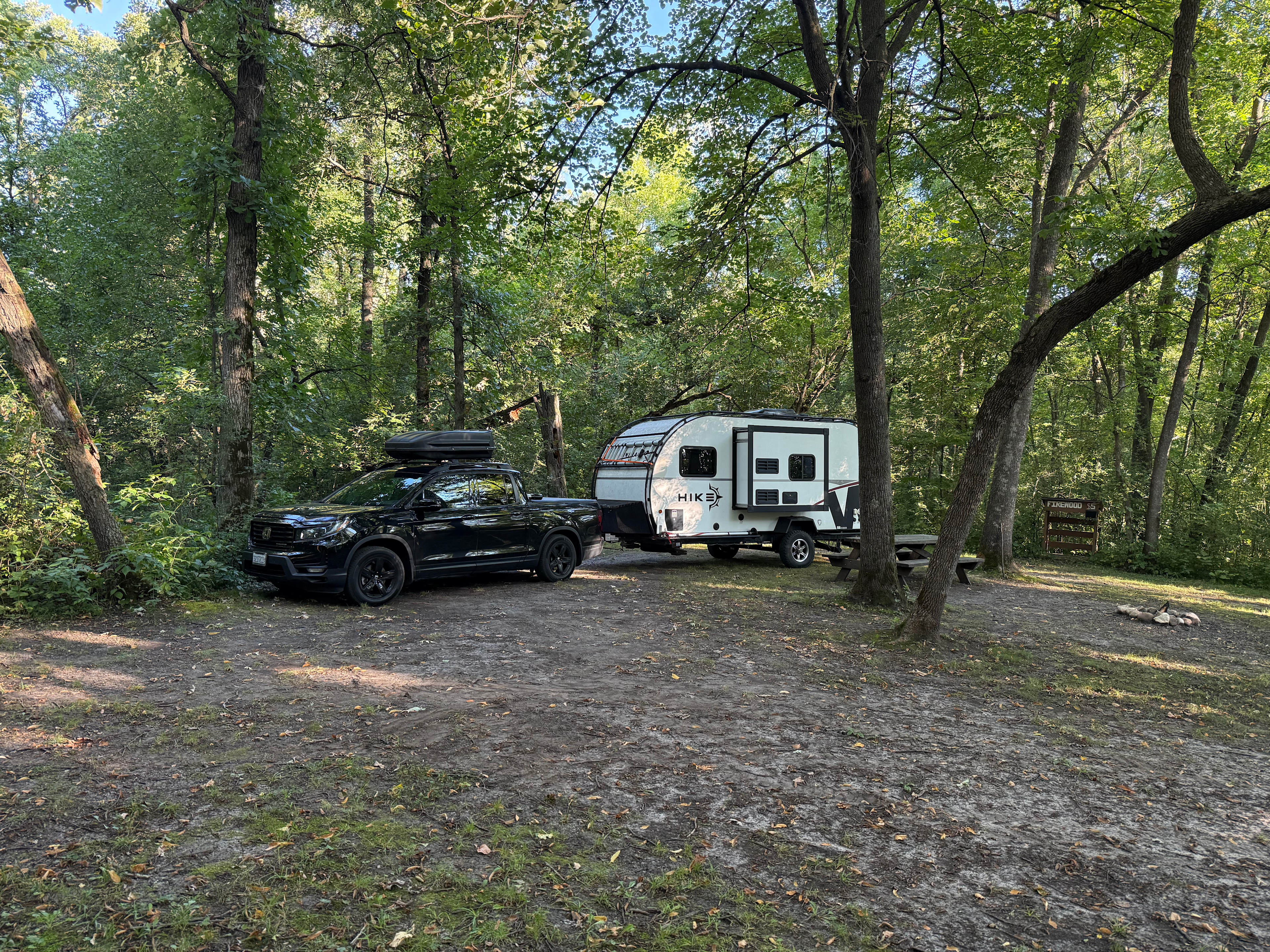 The Woods