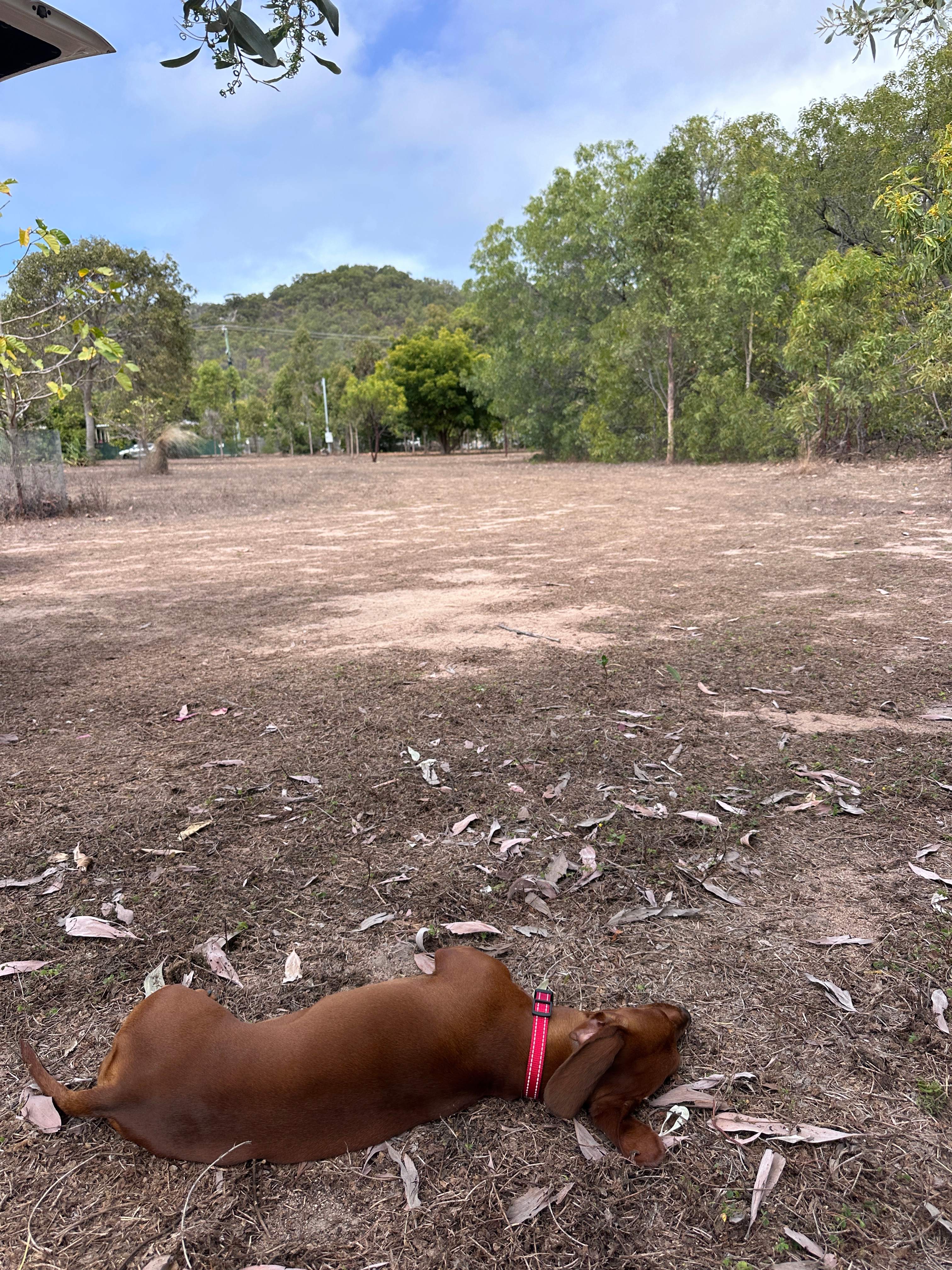 10 acre bush block 