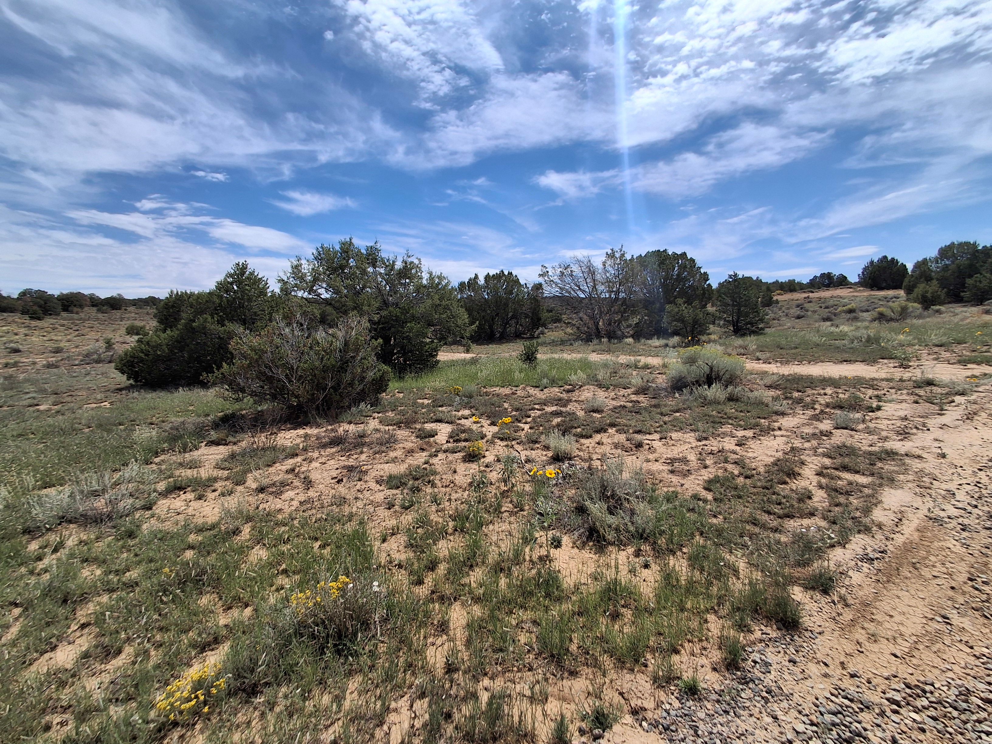 Roadrunner Campground
