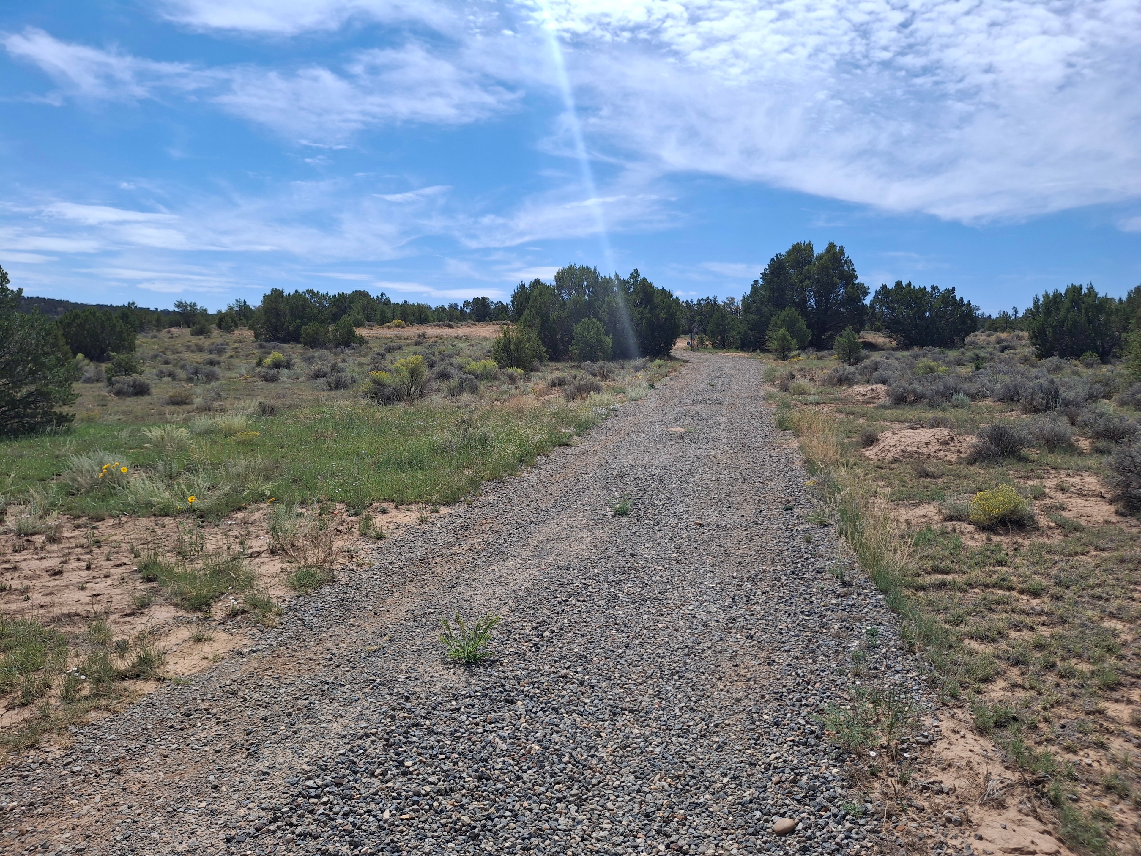 Roadrunner Campground
