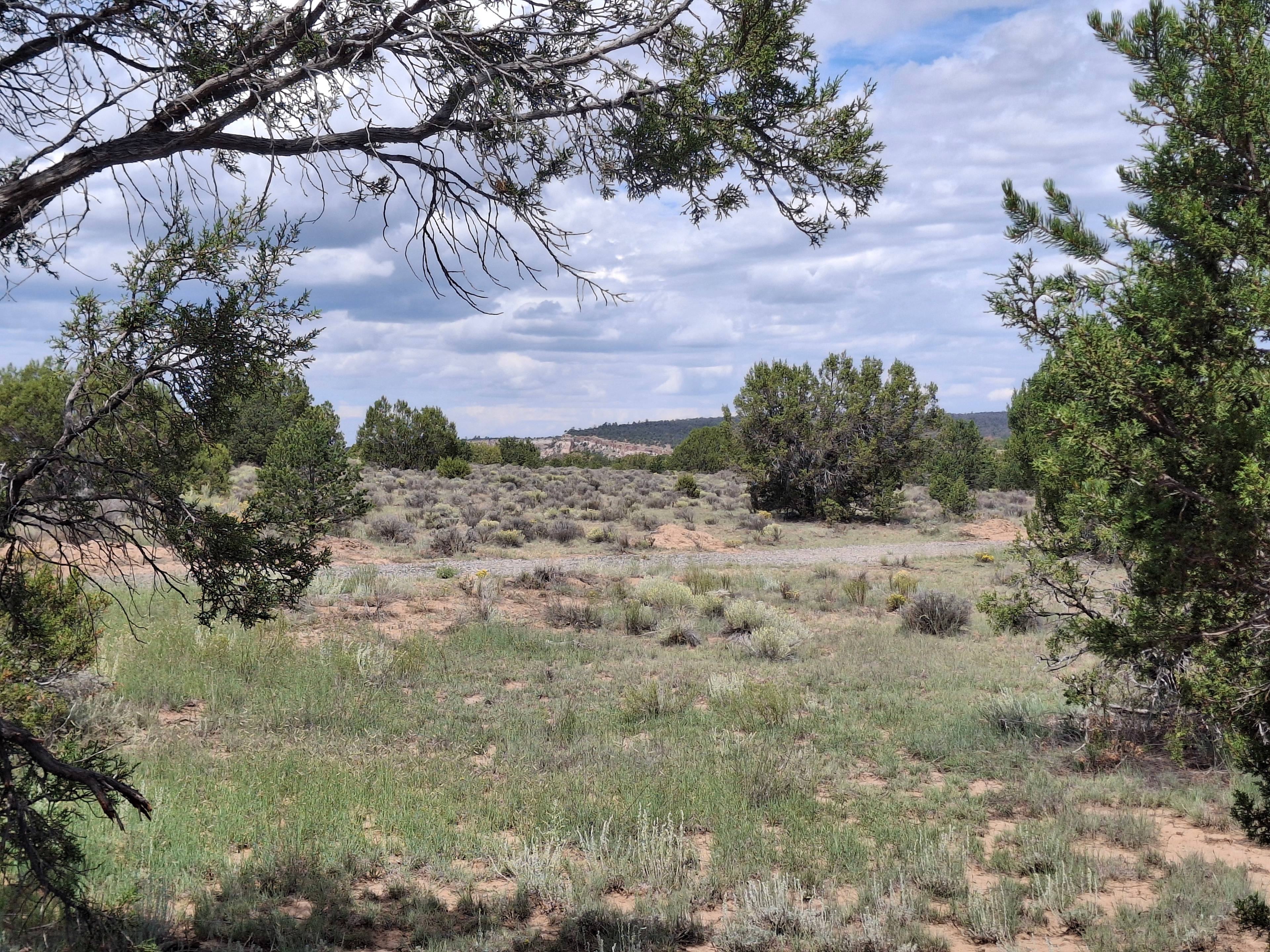 Roadrunner Campground