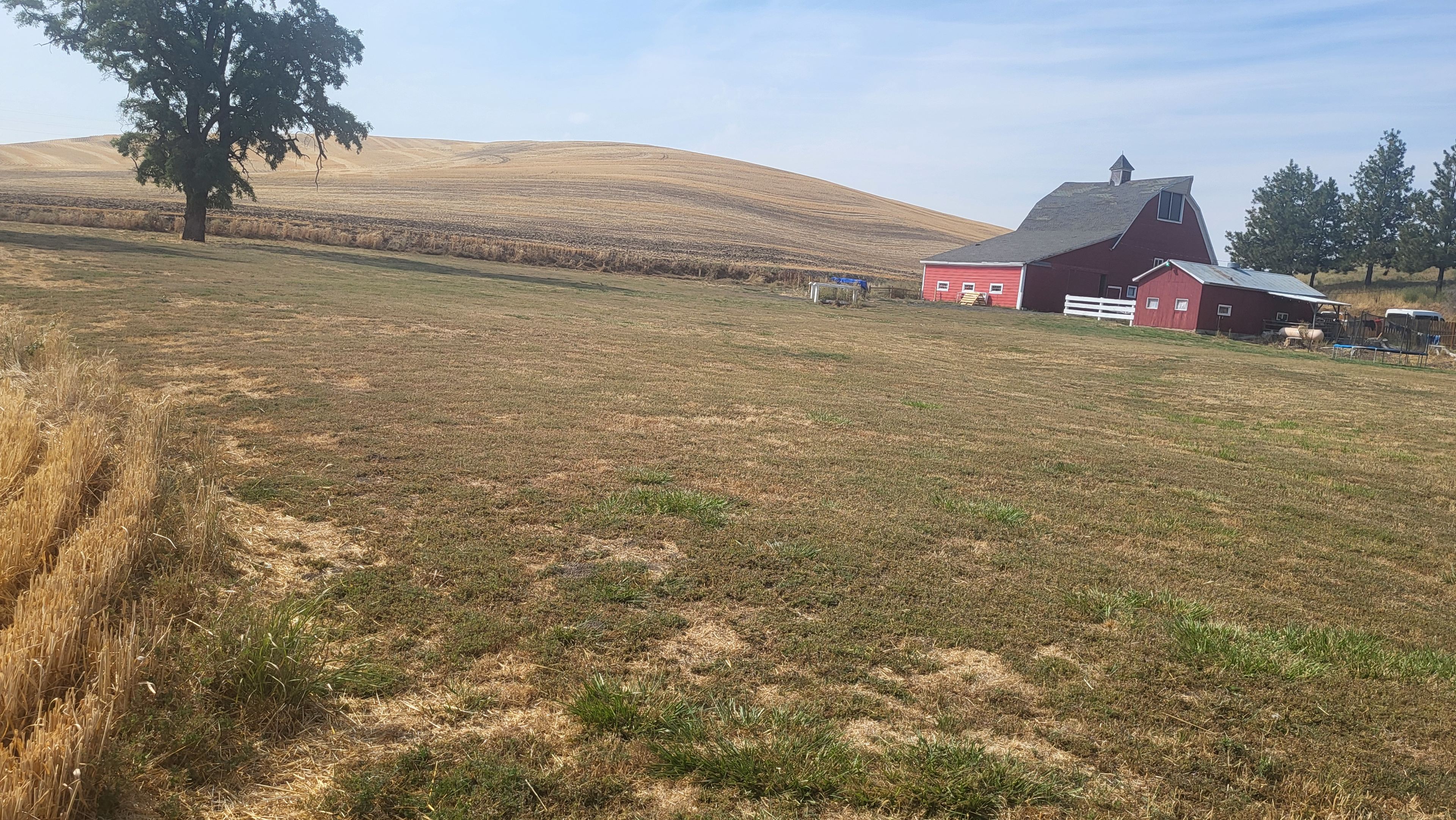 Buck Canyon Barn