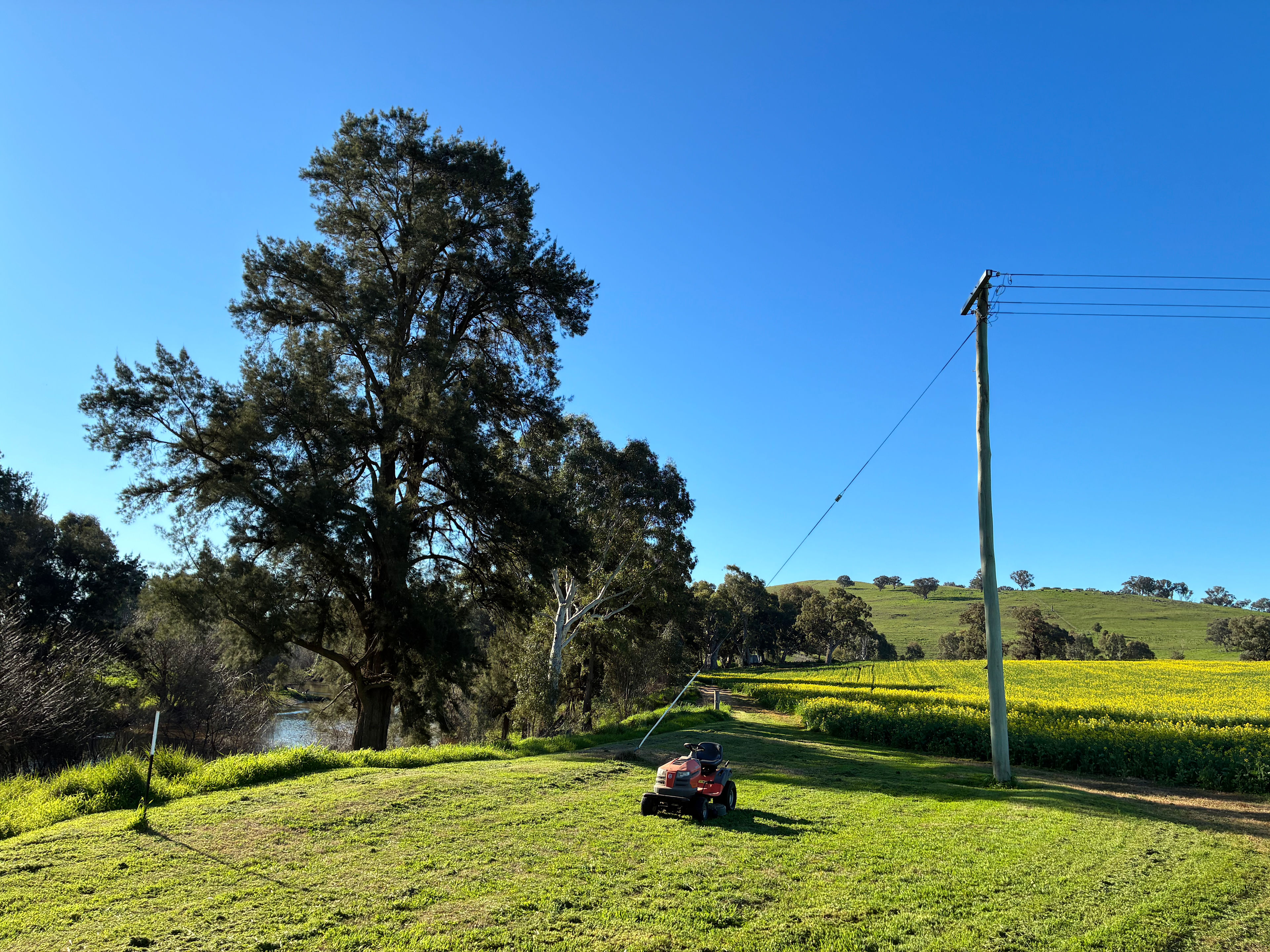 Camp by the river backed by canola in full flower 