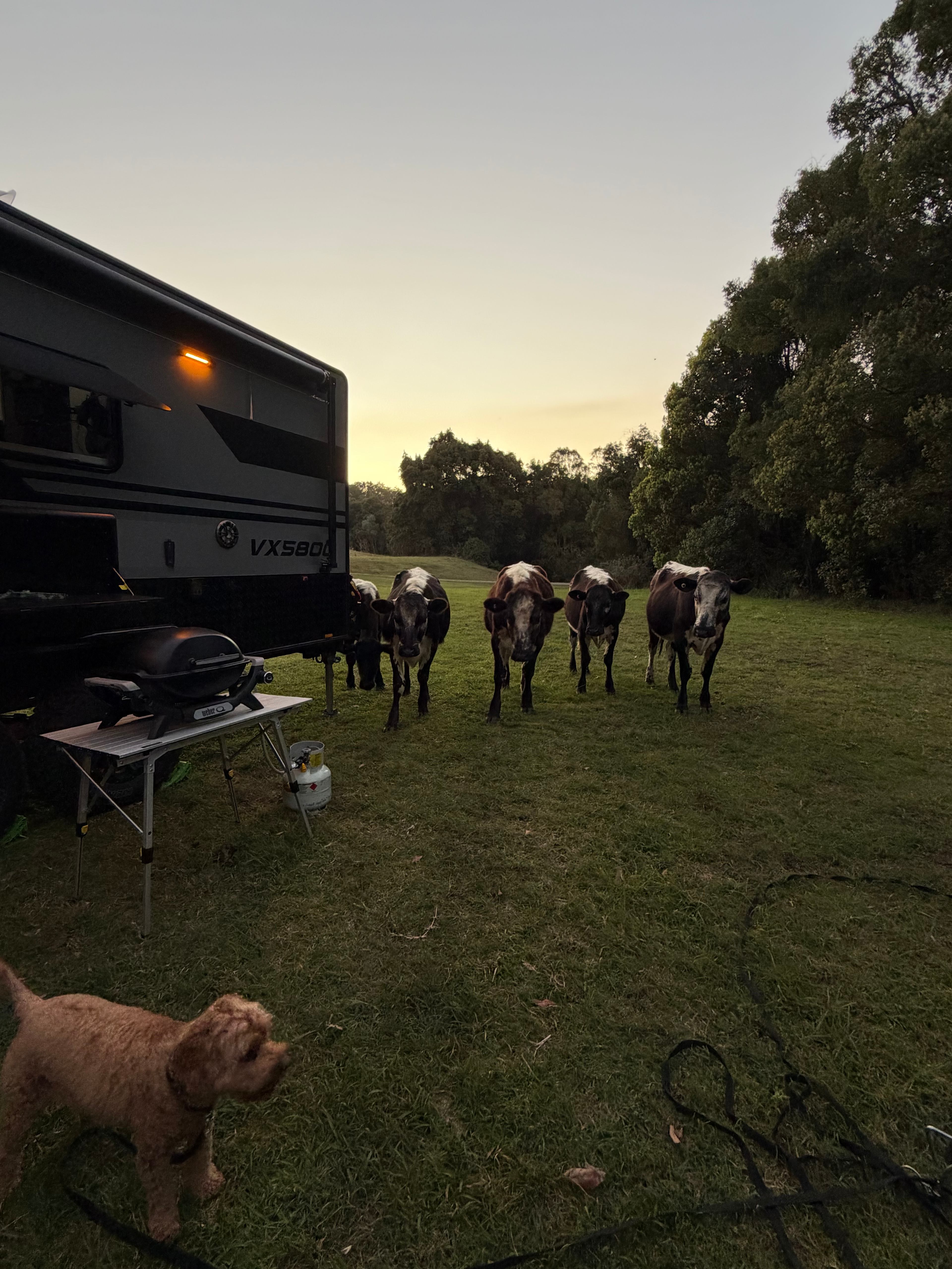 Mothar Mountain Farm