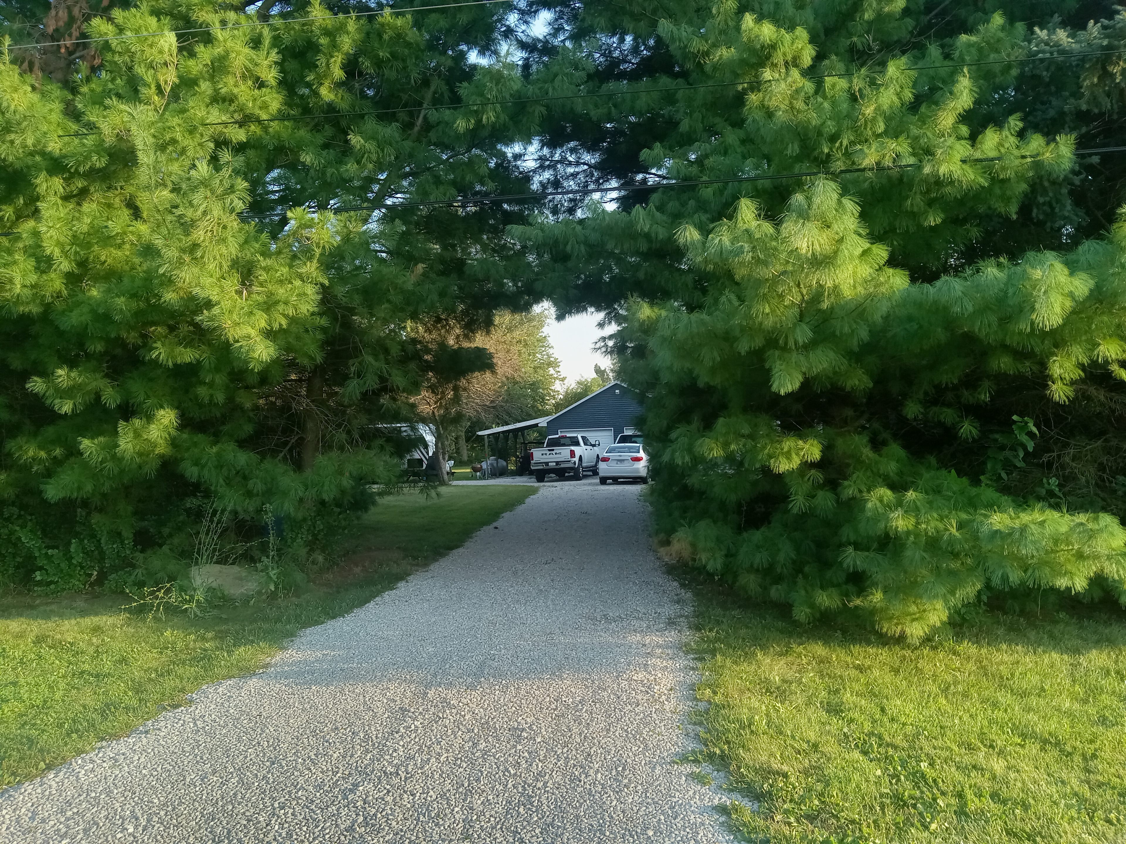 Goldfinch Acres