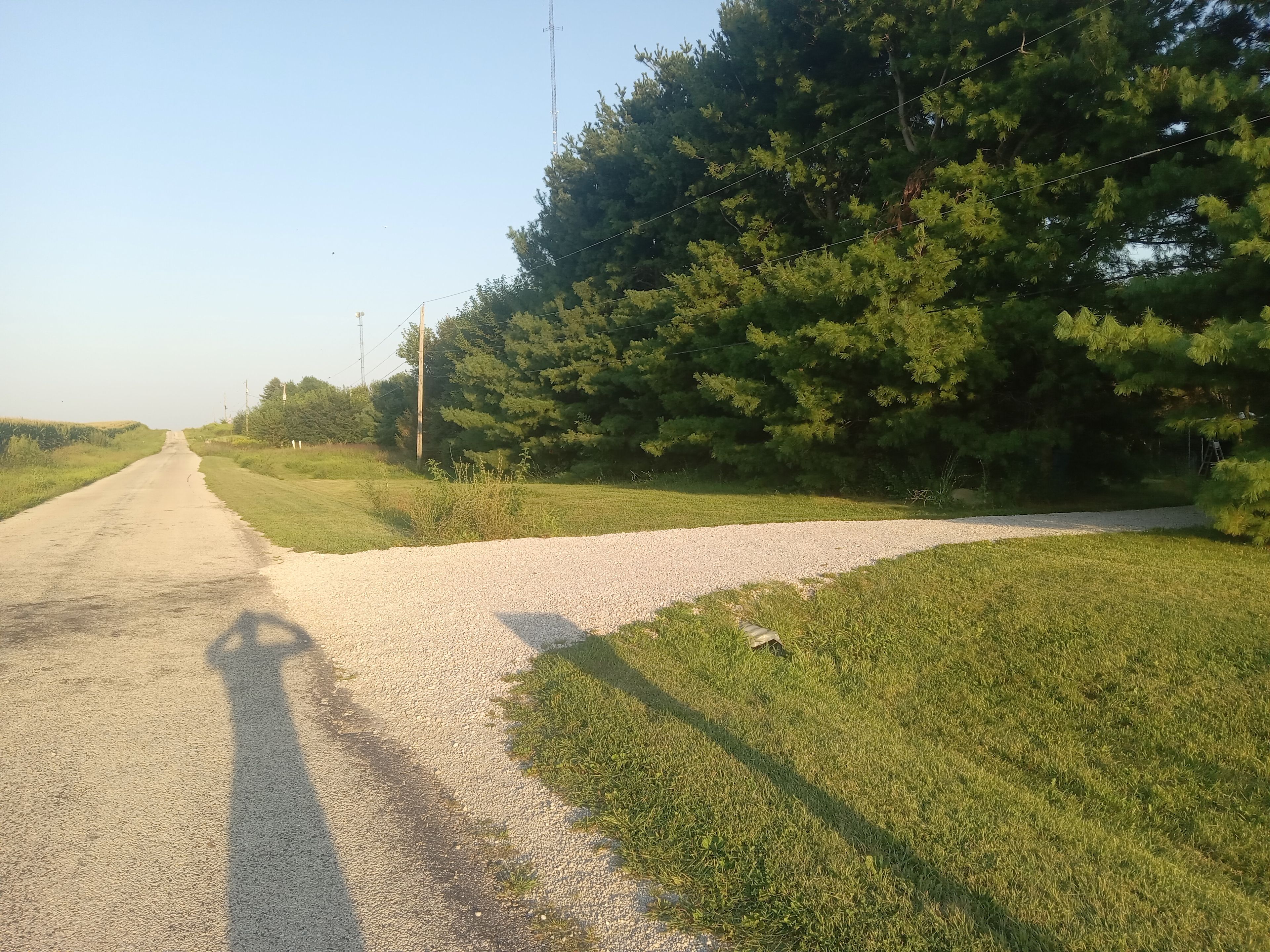 Goldfinch Acres