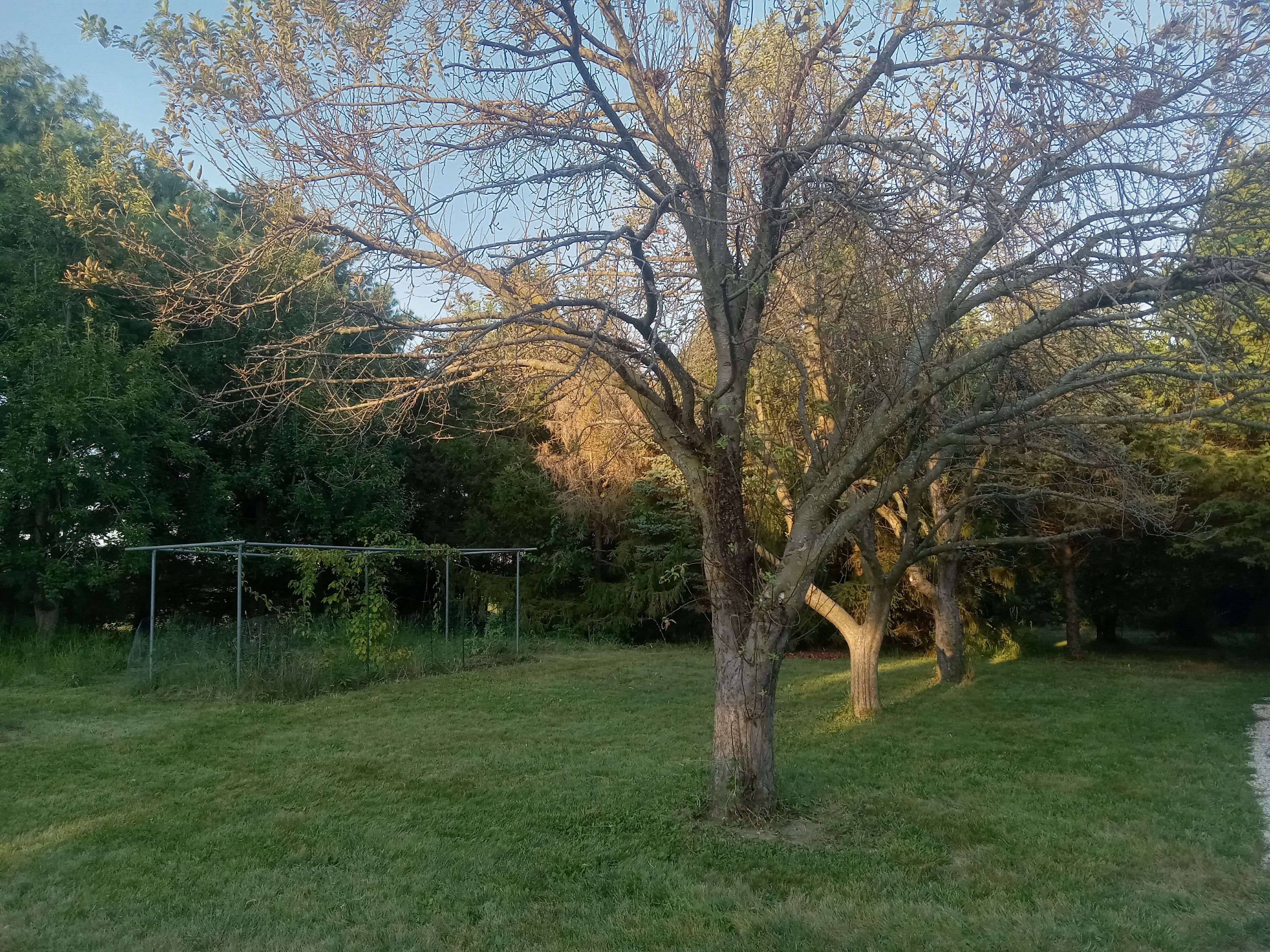 Goldfinch Acres