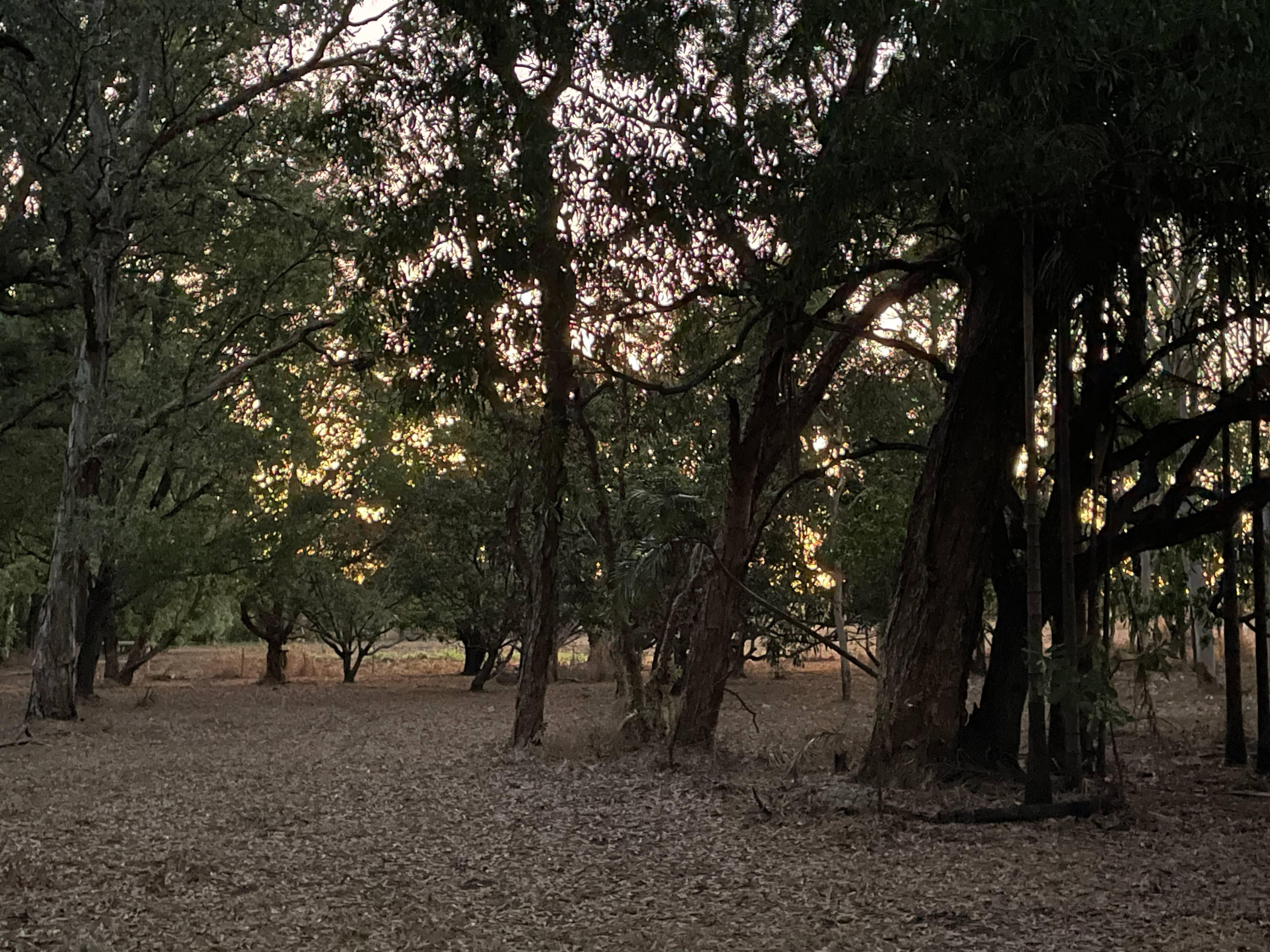 Fernee Retreat