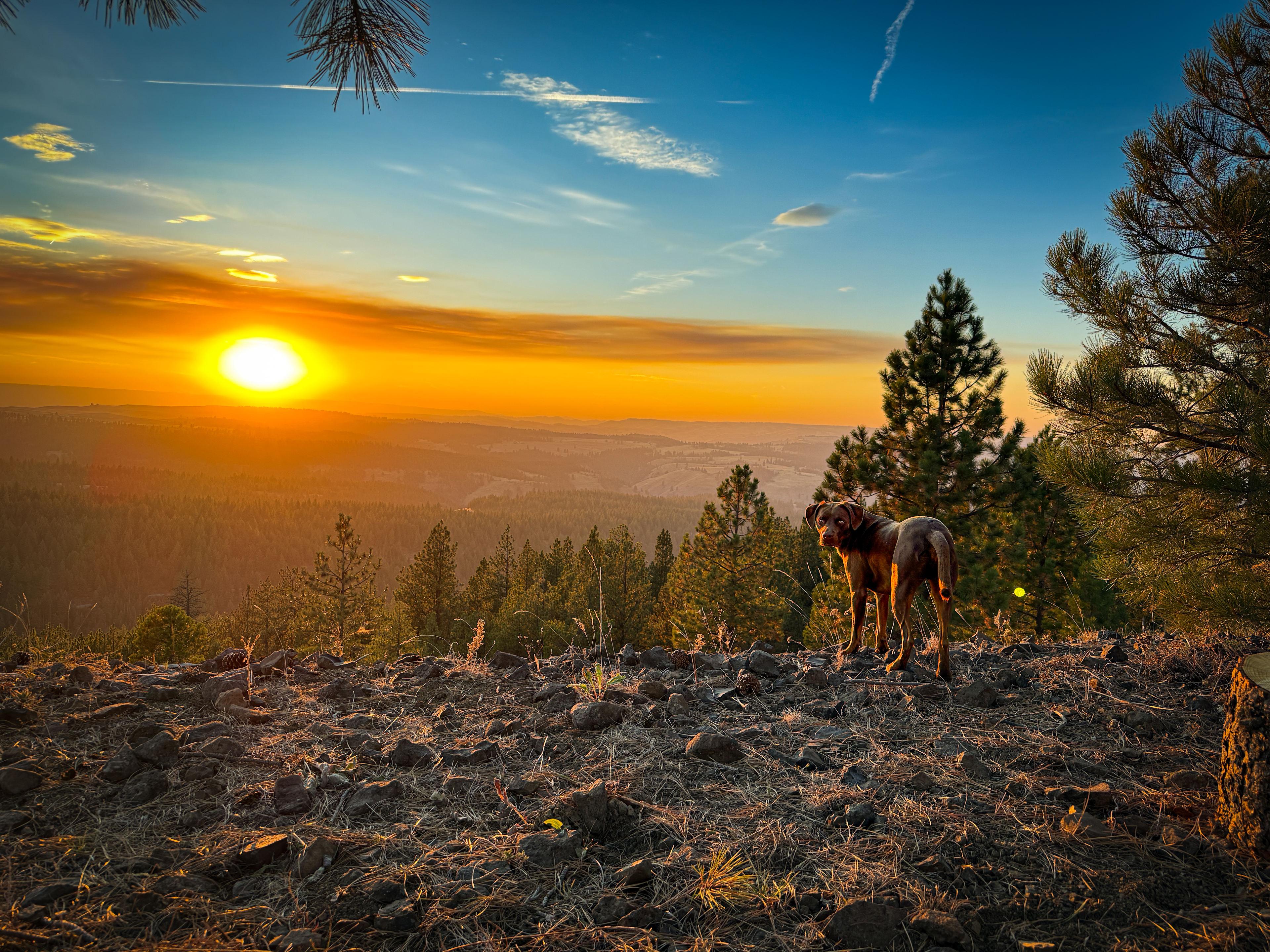 Camp Last Light