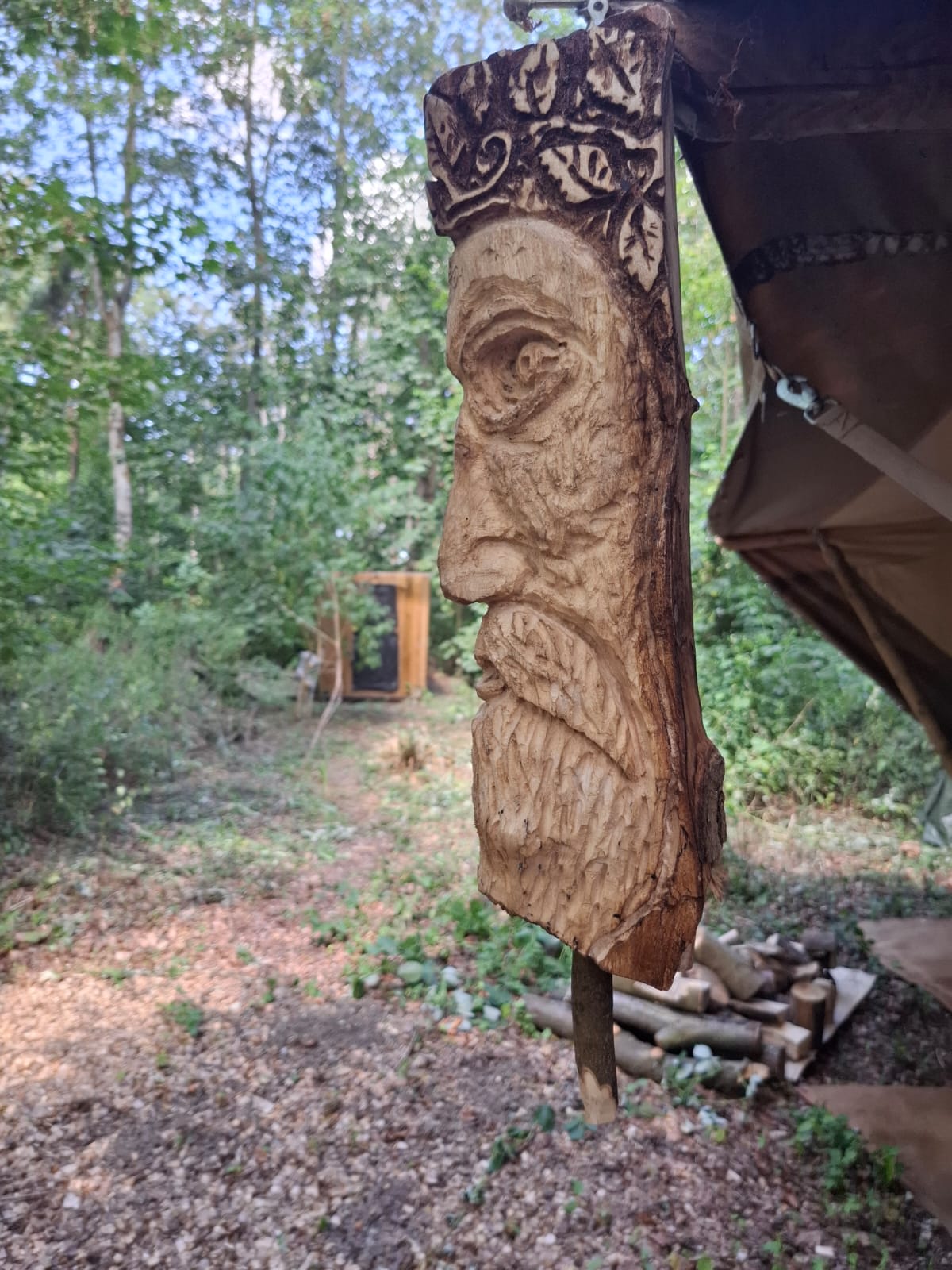 Pitt Wood