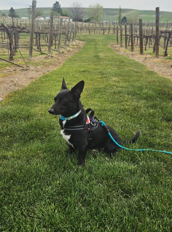 Frichette Winery