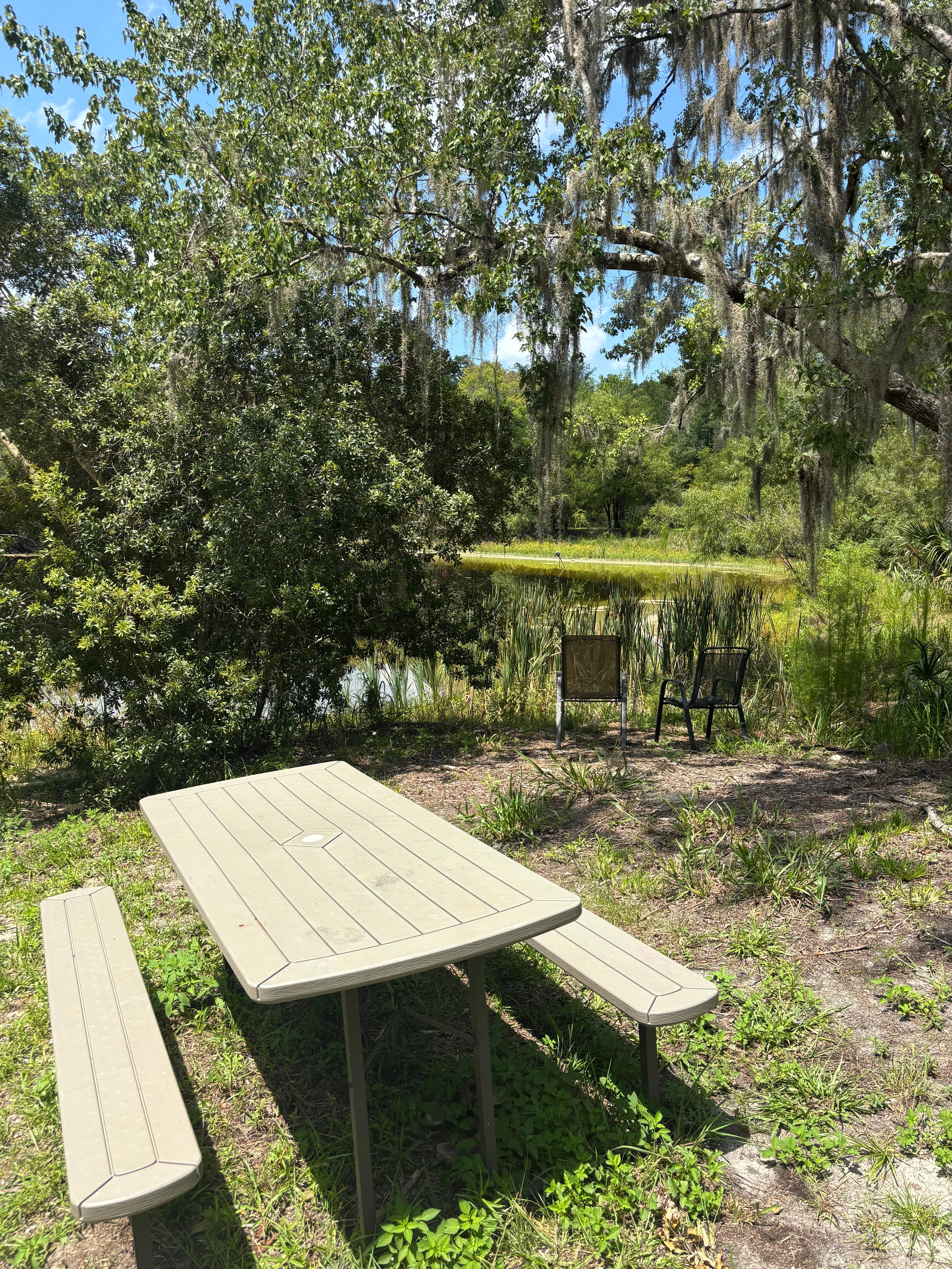Treehouse Springs