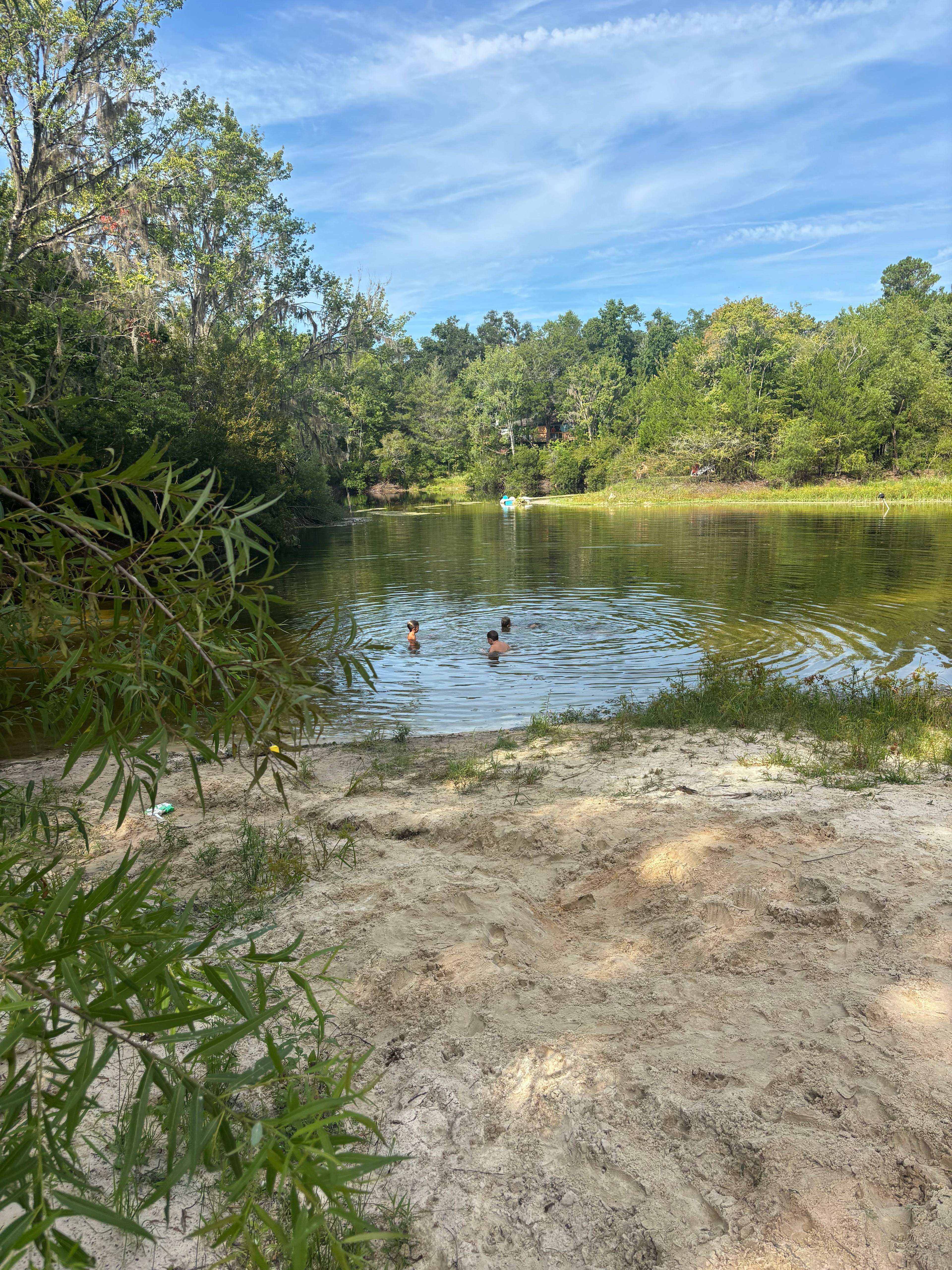 Treehouse Springs