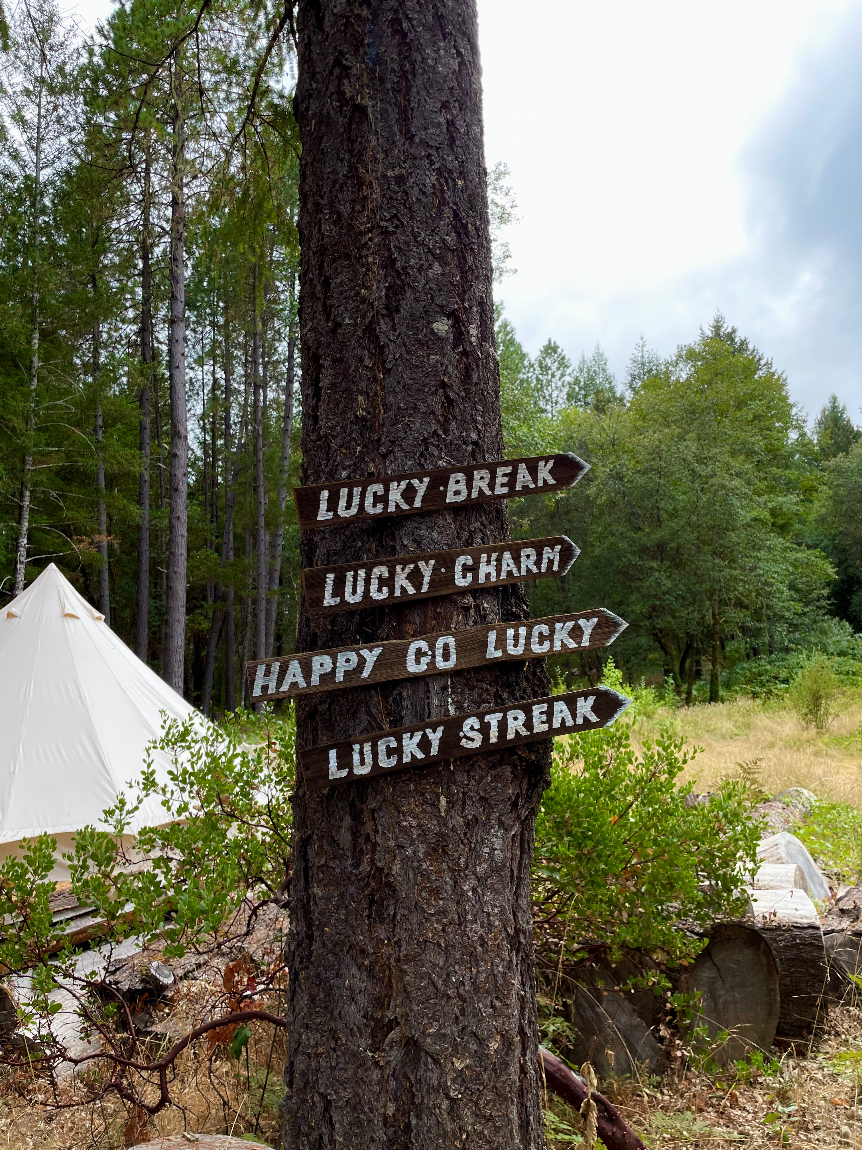 Lucky Penny