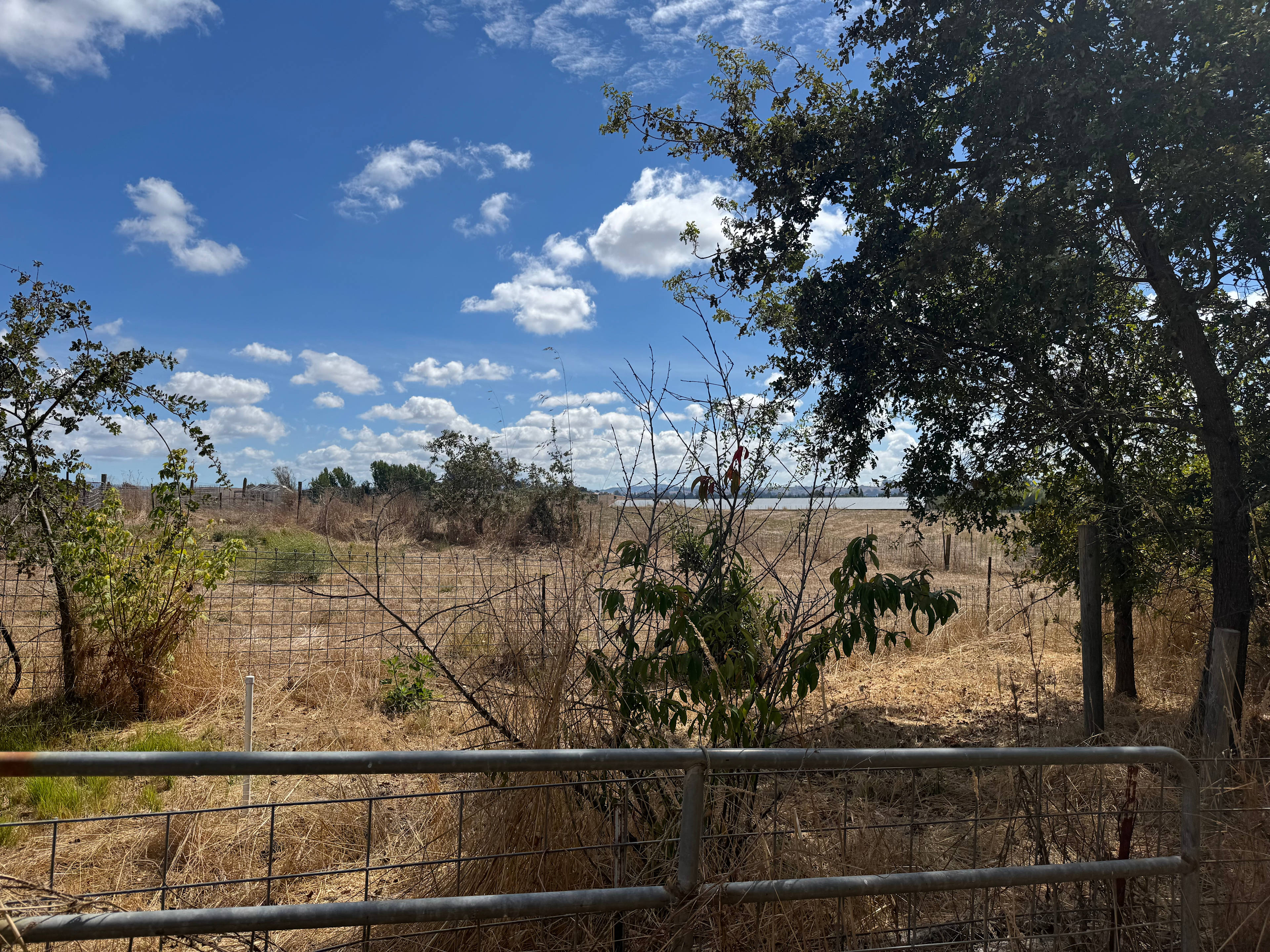 Windrift Farms