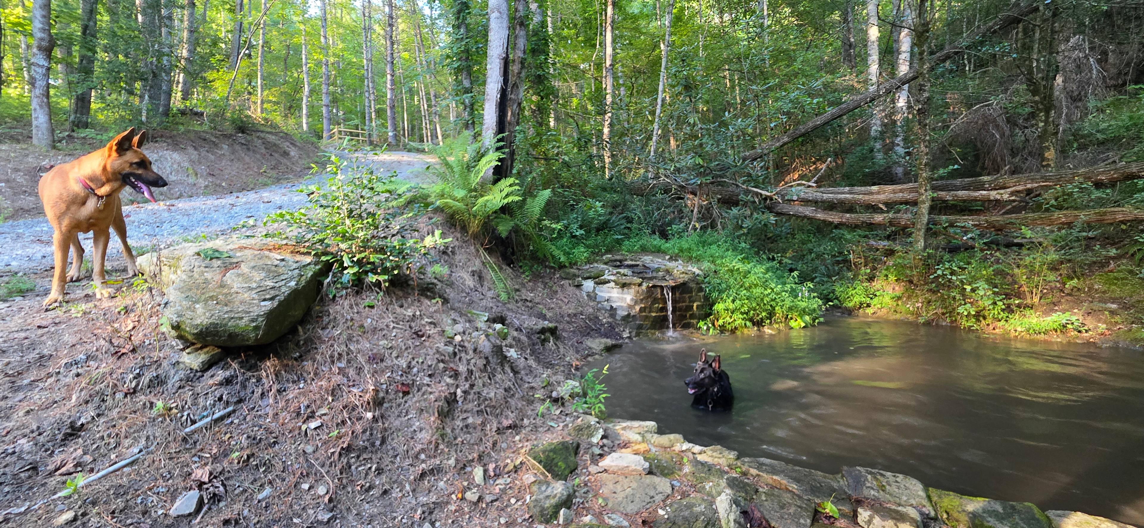 Twin Falls Wilderness Retreat