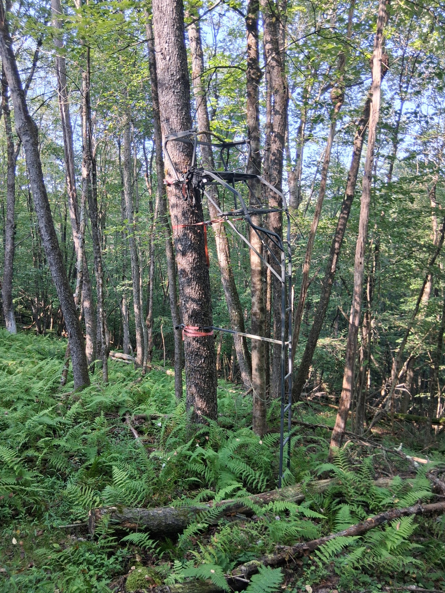 Hillside Cabins & Camp Enterprises LLC