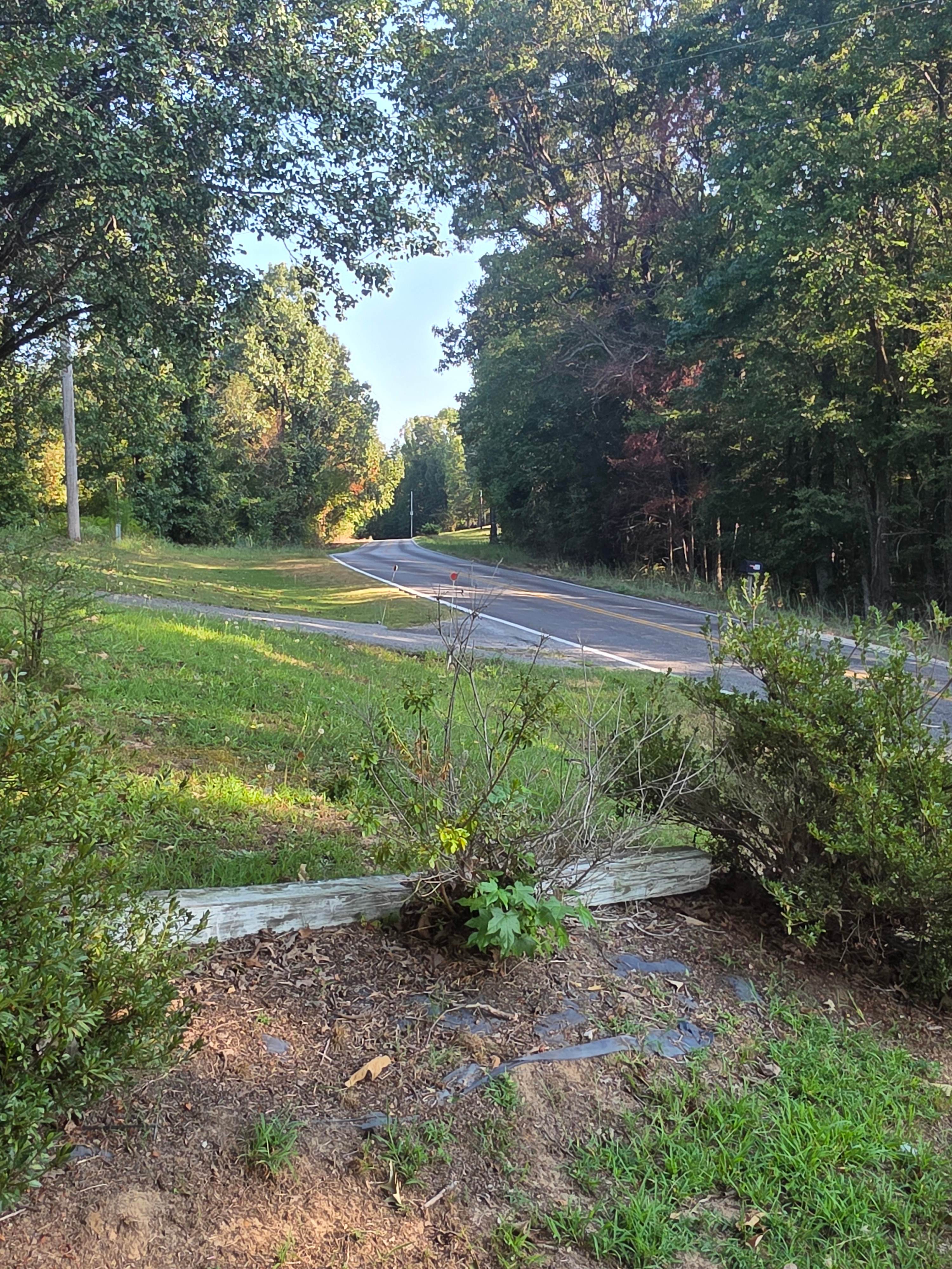 White Oak Pad