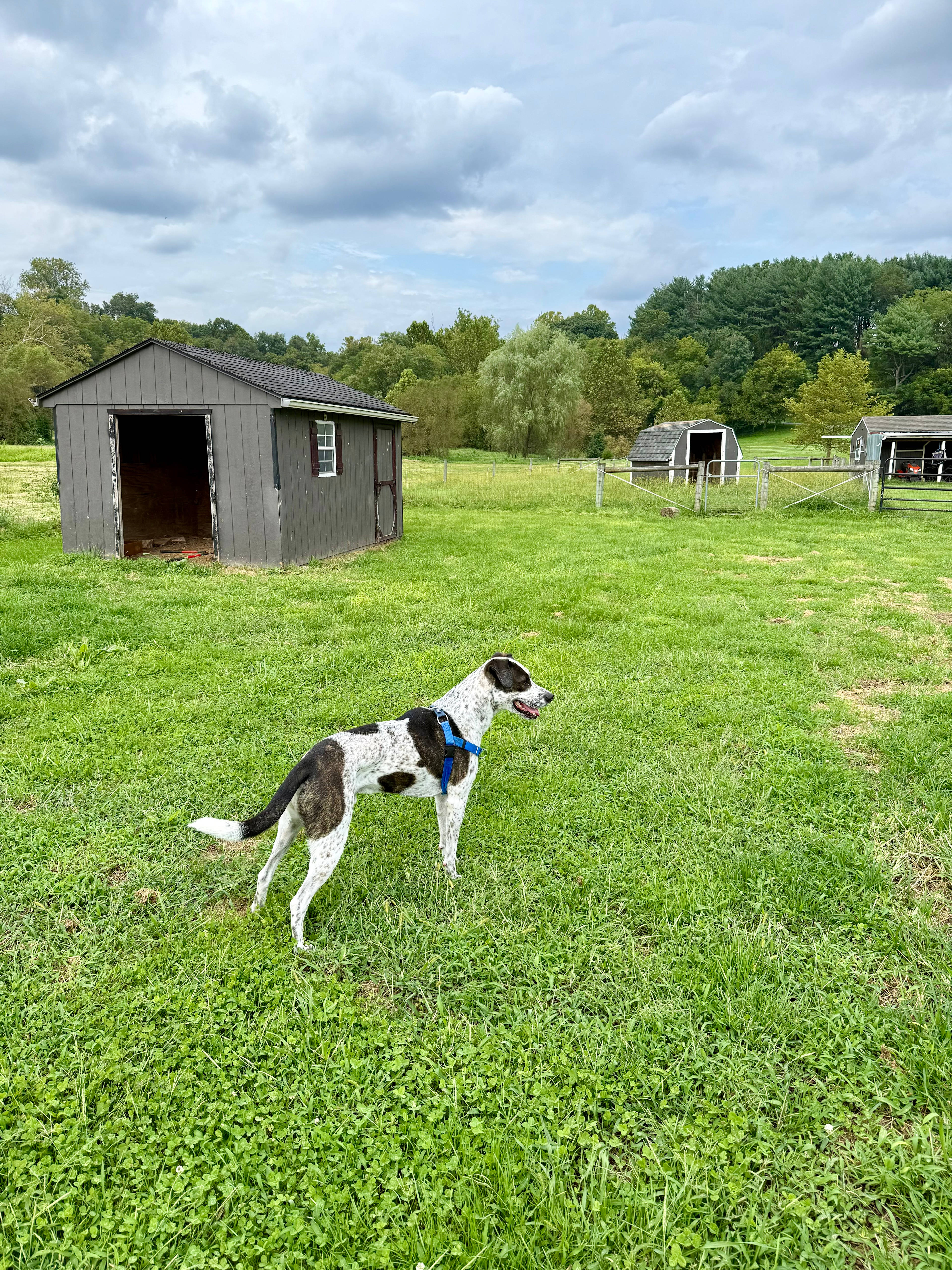 SWEETDALE
