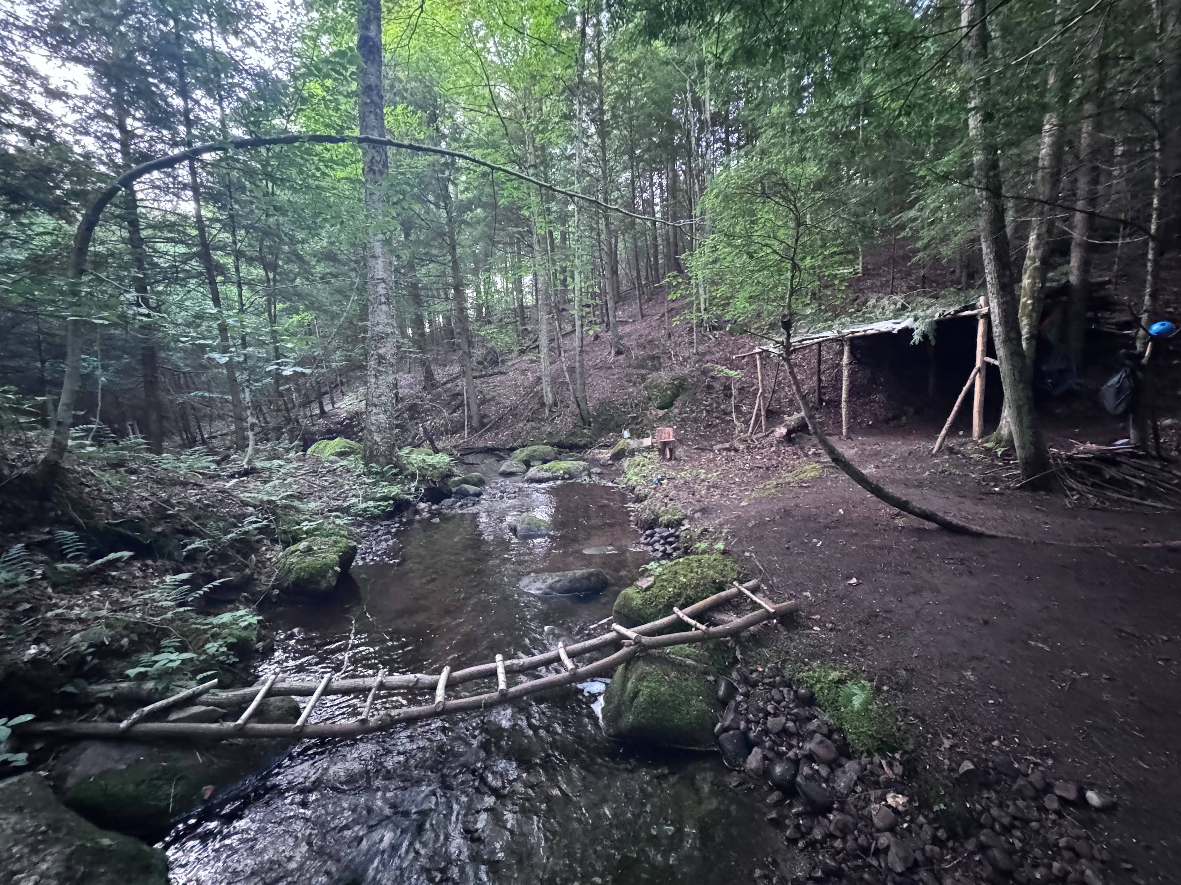 Moss & Stone Creek