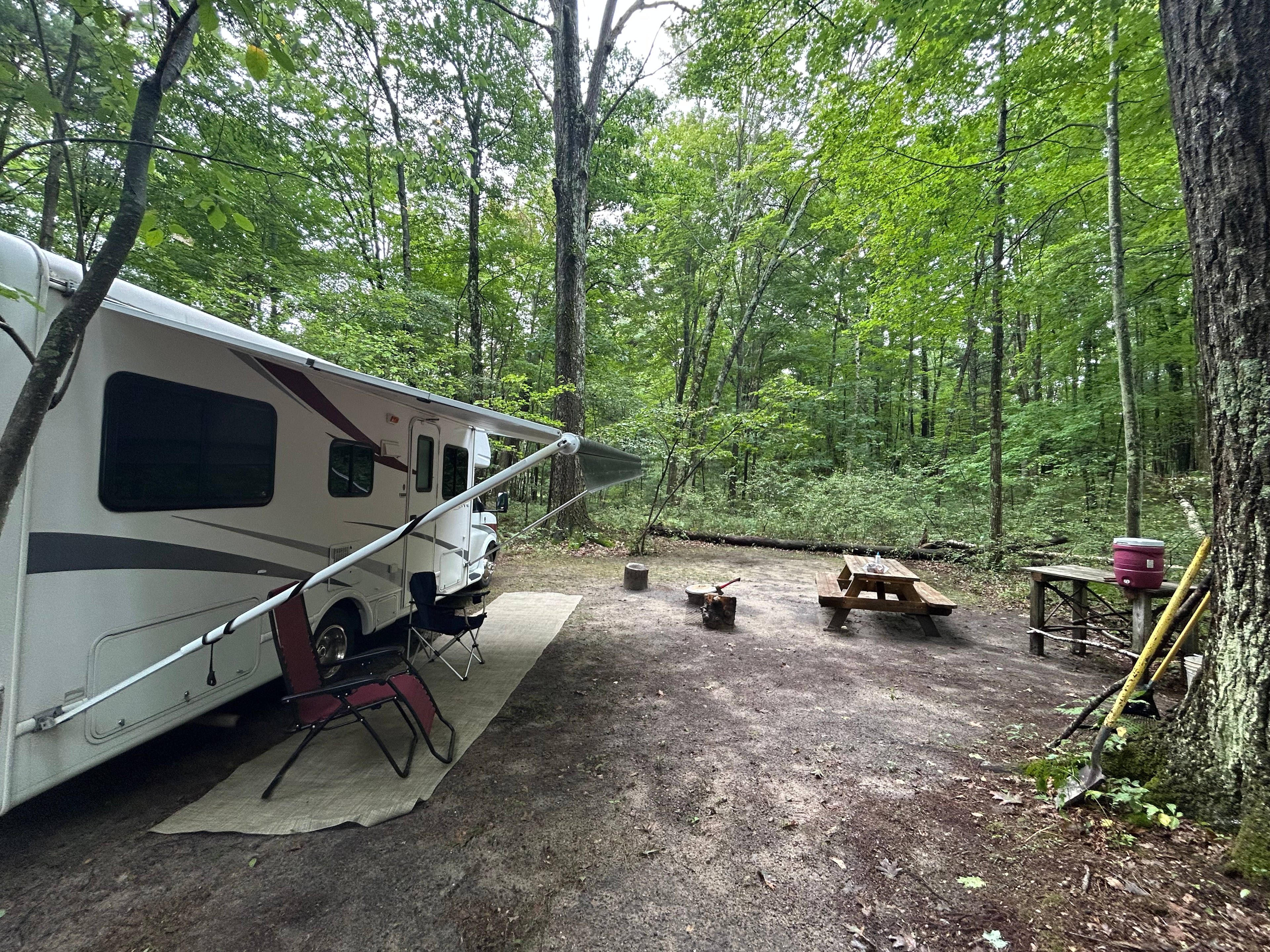 Valley of the Giants Camp