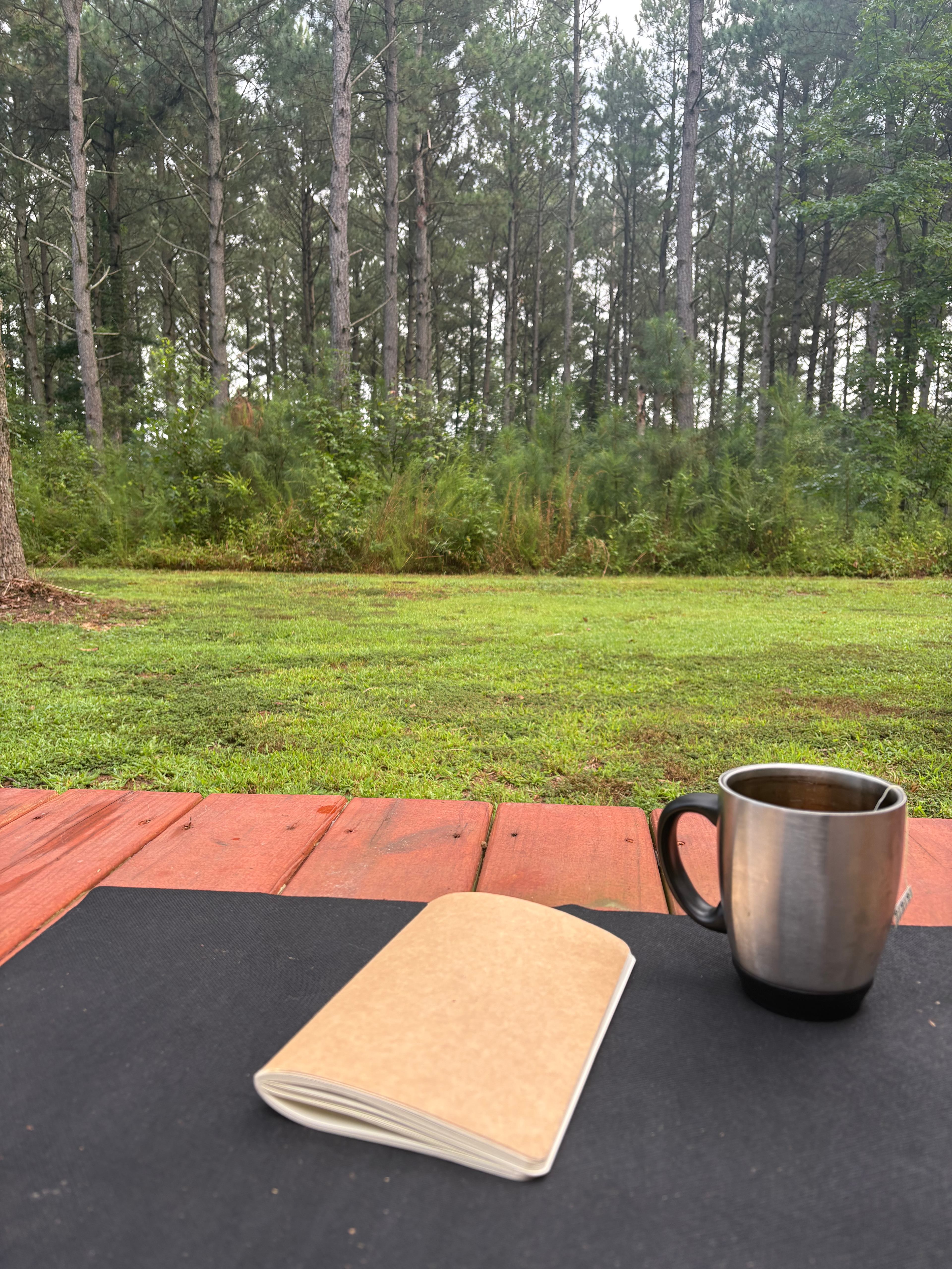Woodland Retreat Near The Beach
