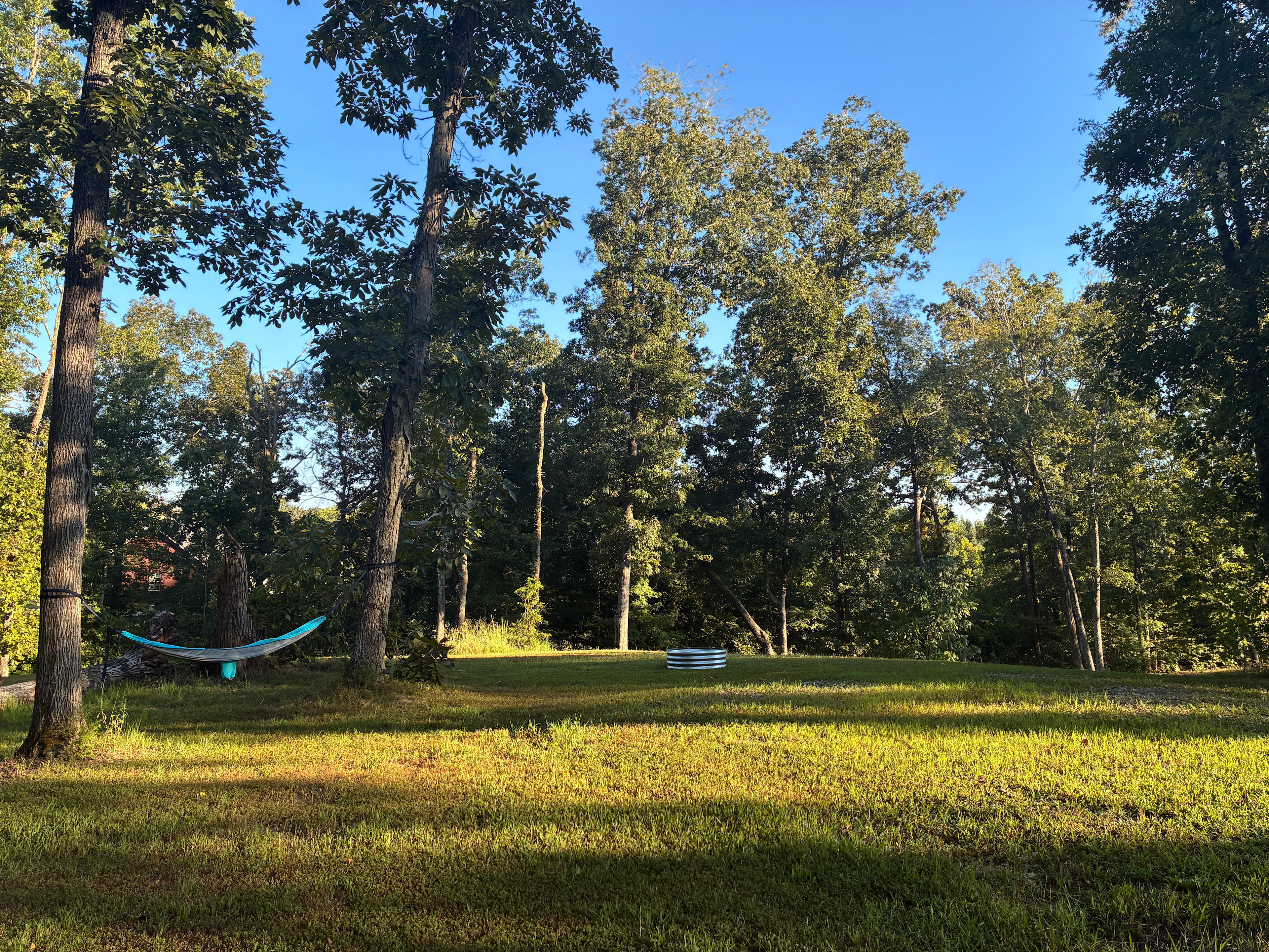 Bawks & Braaps Farm