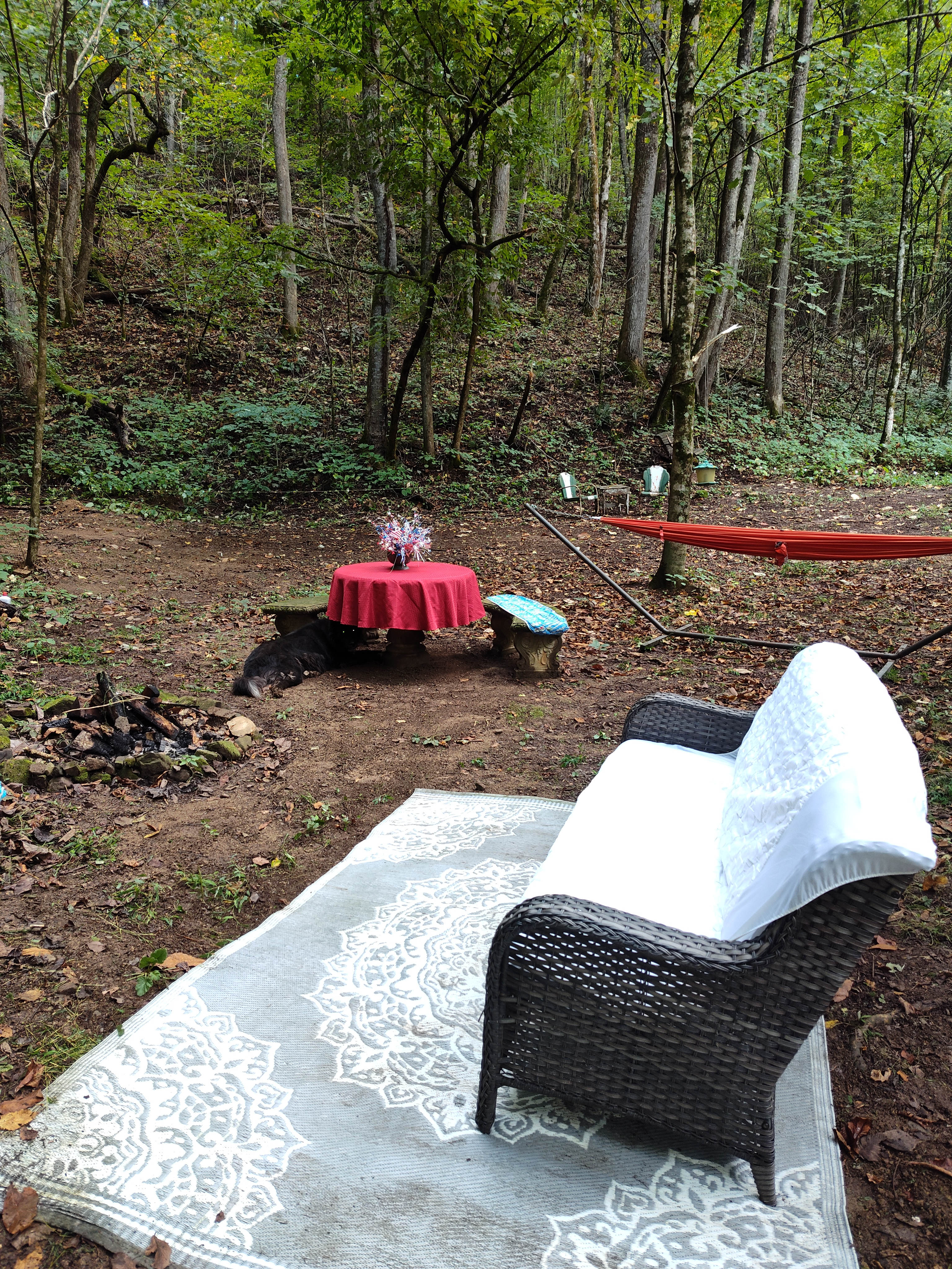 Need a romantic getaway or a sweet private place for a picnic.
Book Bigfoot Holler Camping, grassy Valley.