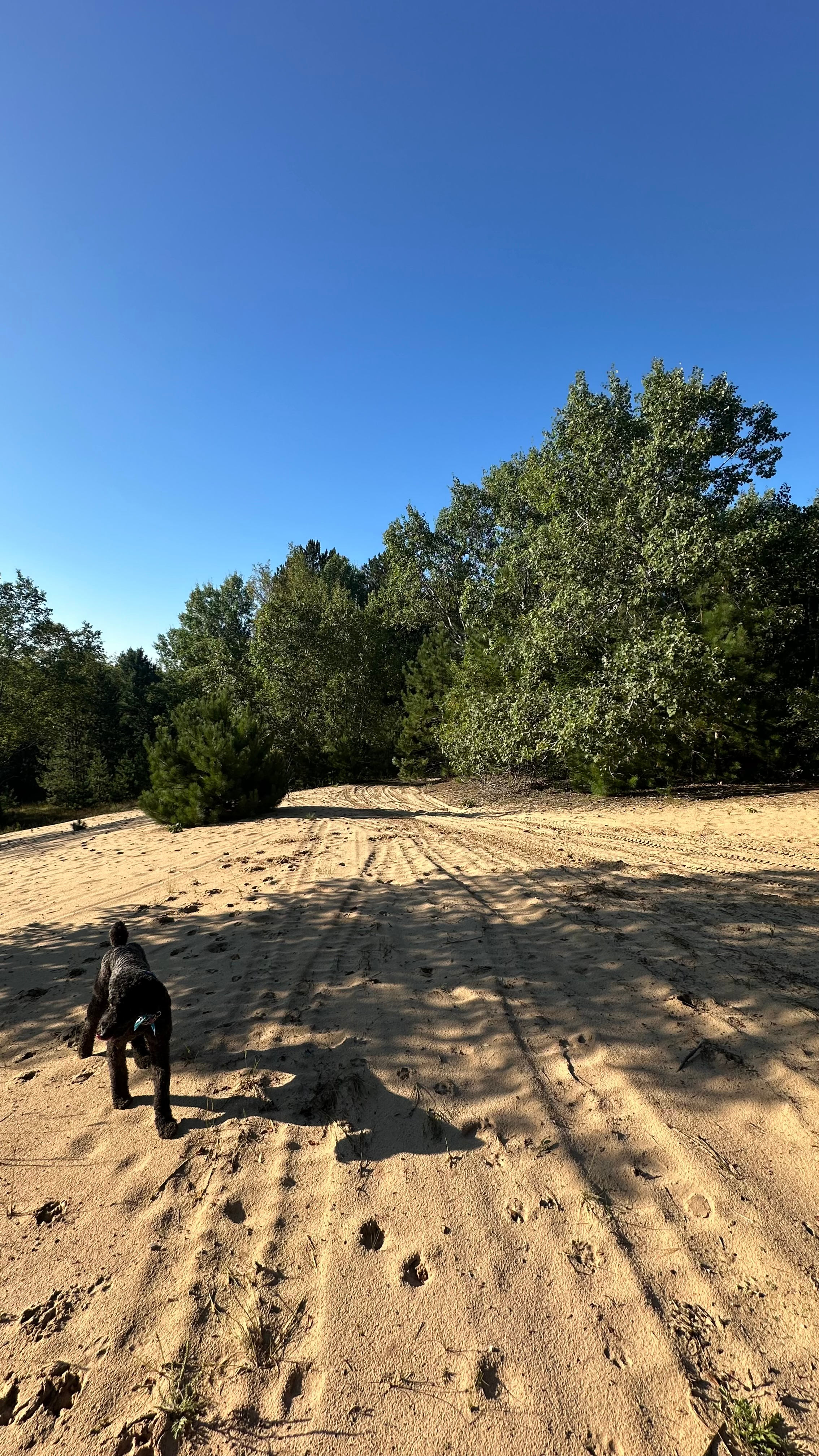 Angel Dunes Private Camp