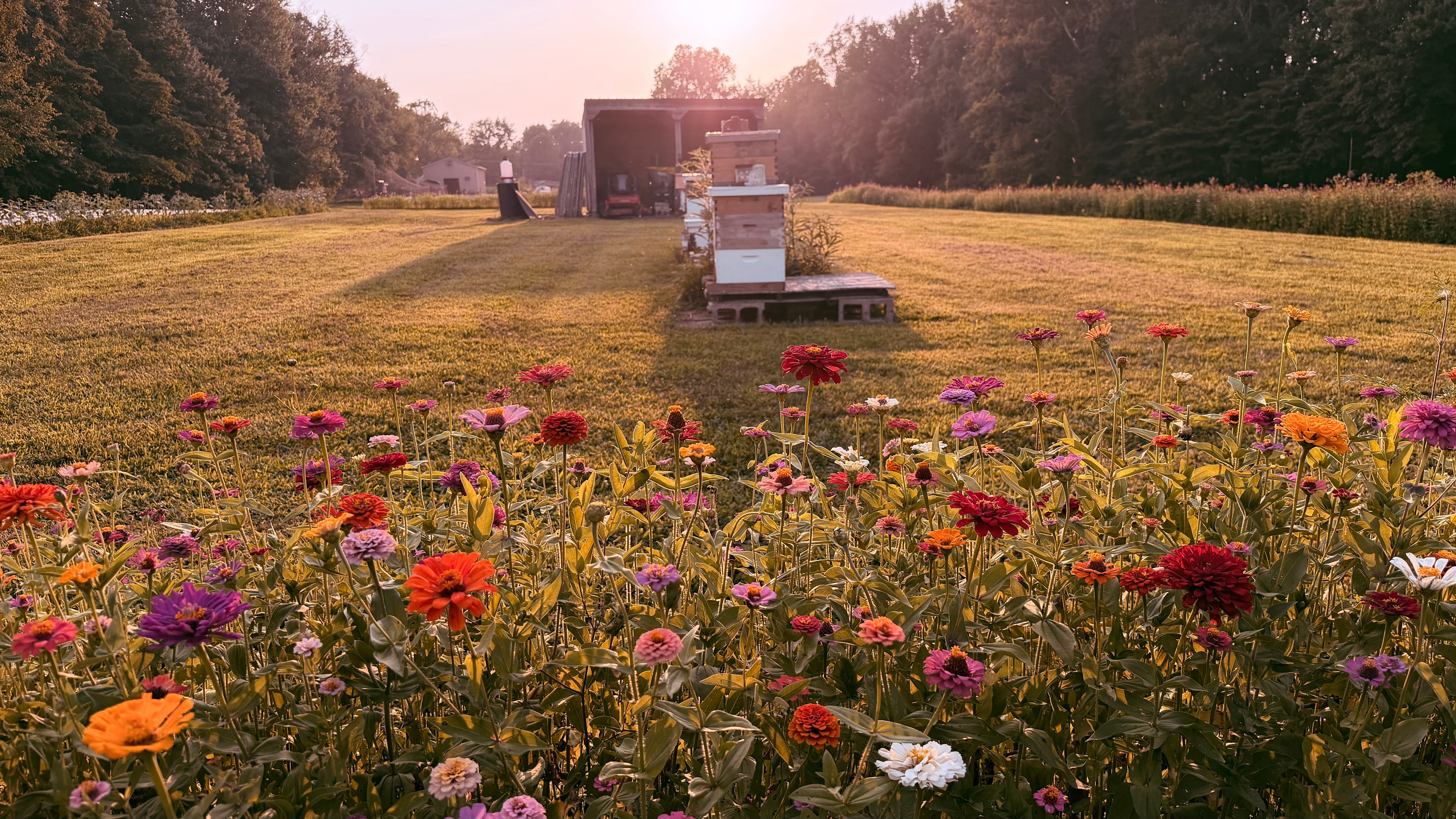 Sadona Farms