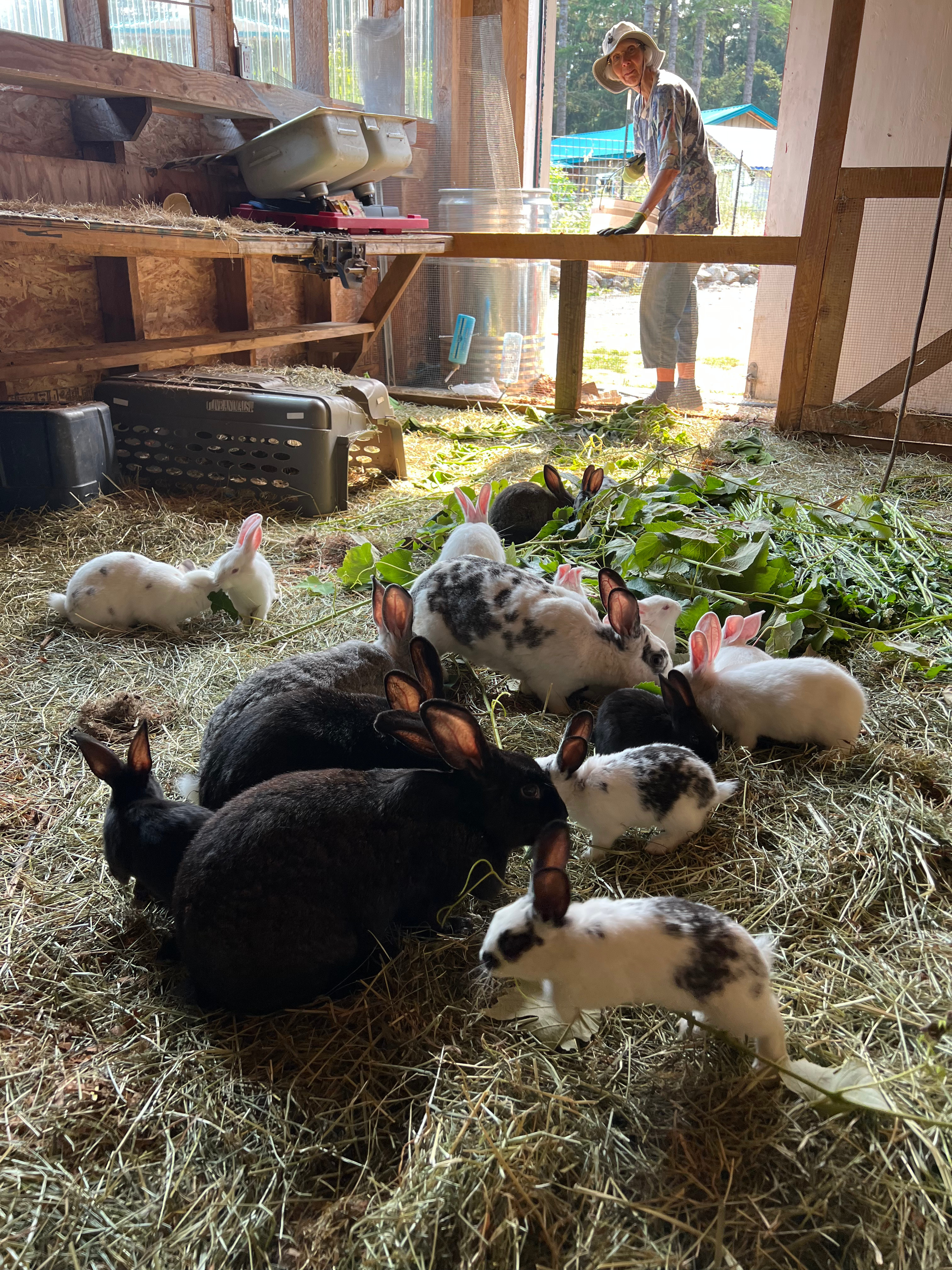 Heartwood Farm and Forest
