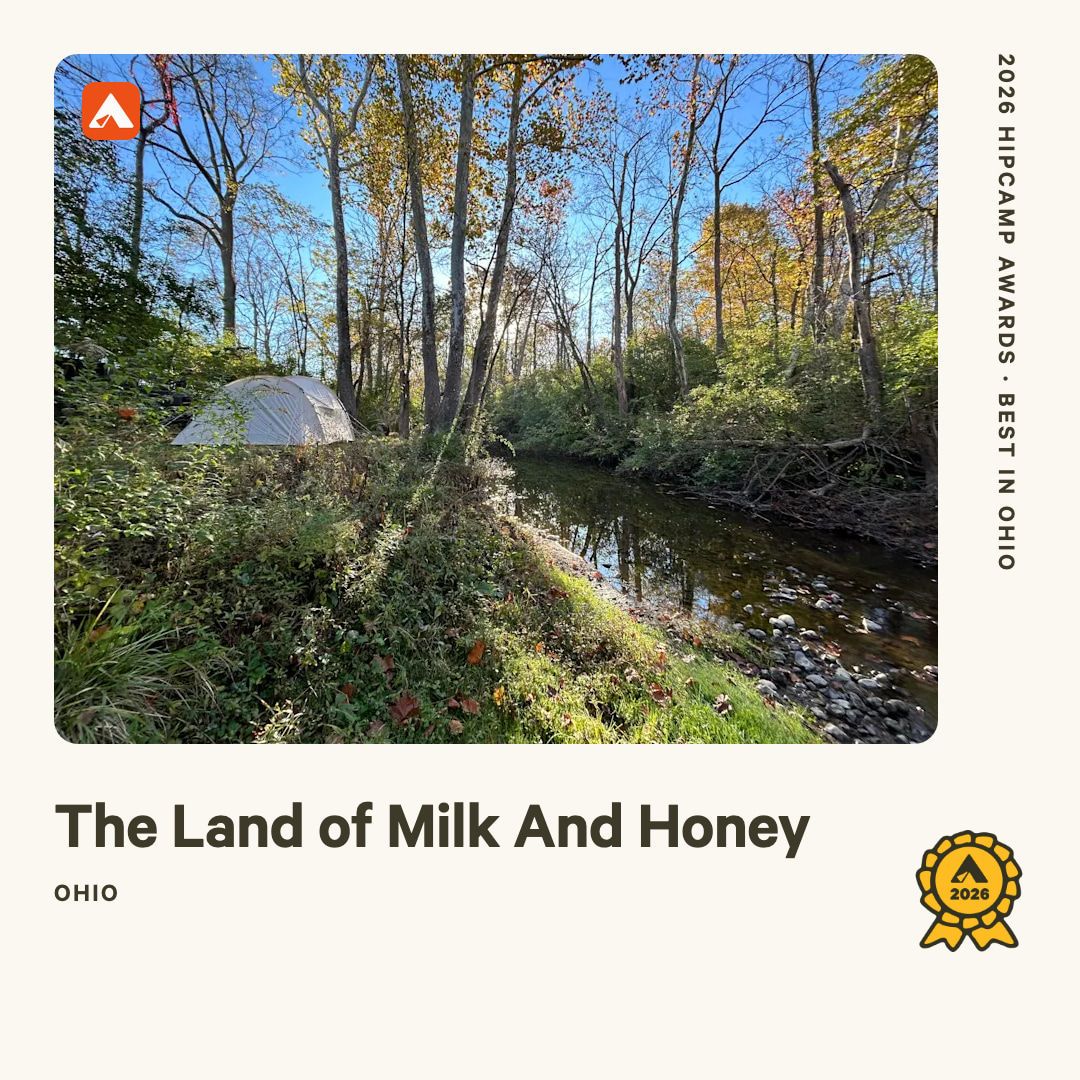 The Land of Milk And Honey