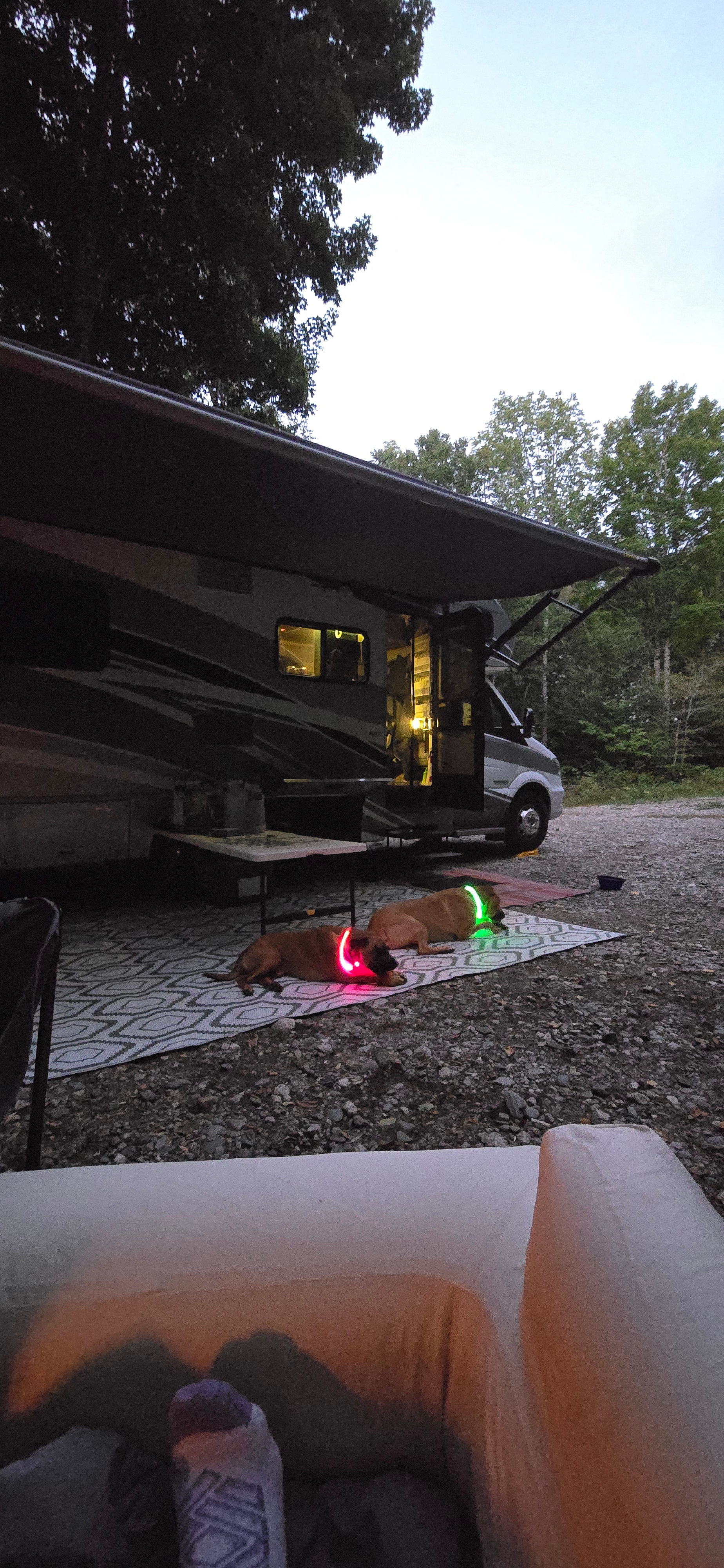 13 Acres/Off Grid/Branch Lake!