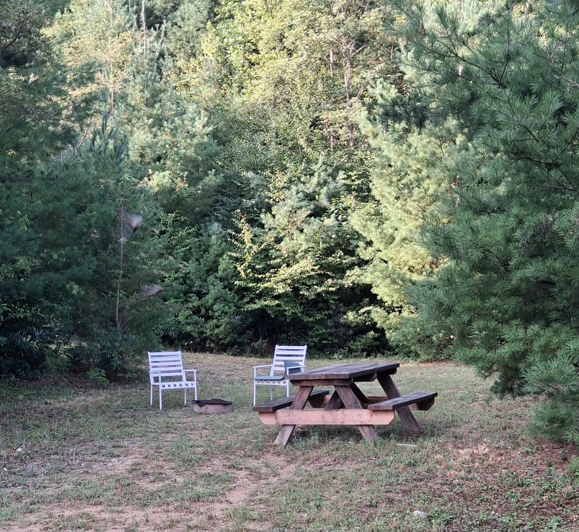 Foggy Frog Glamp & Camp