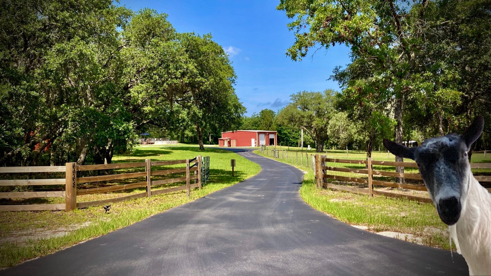 Amazing Acres at Nature Coast Ranch