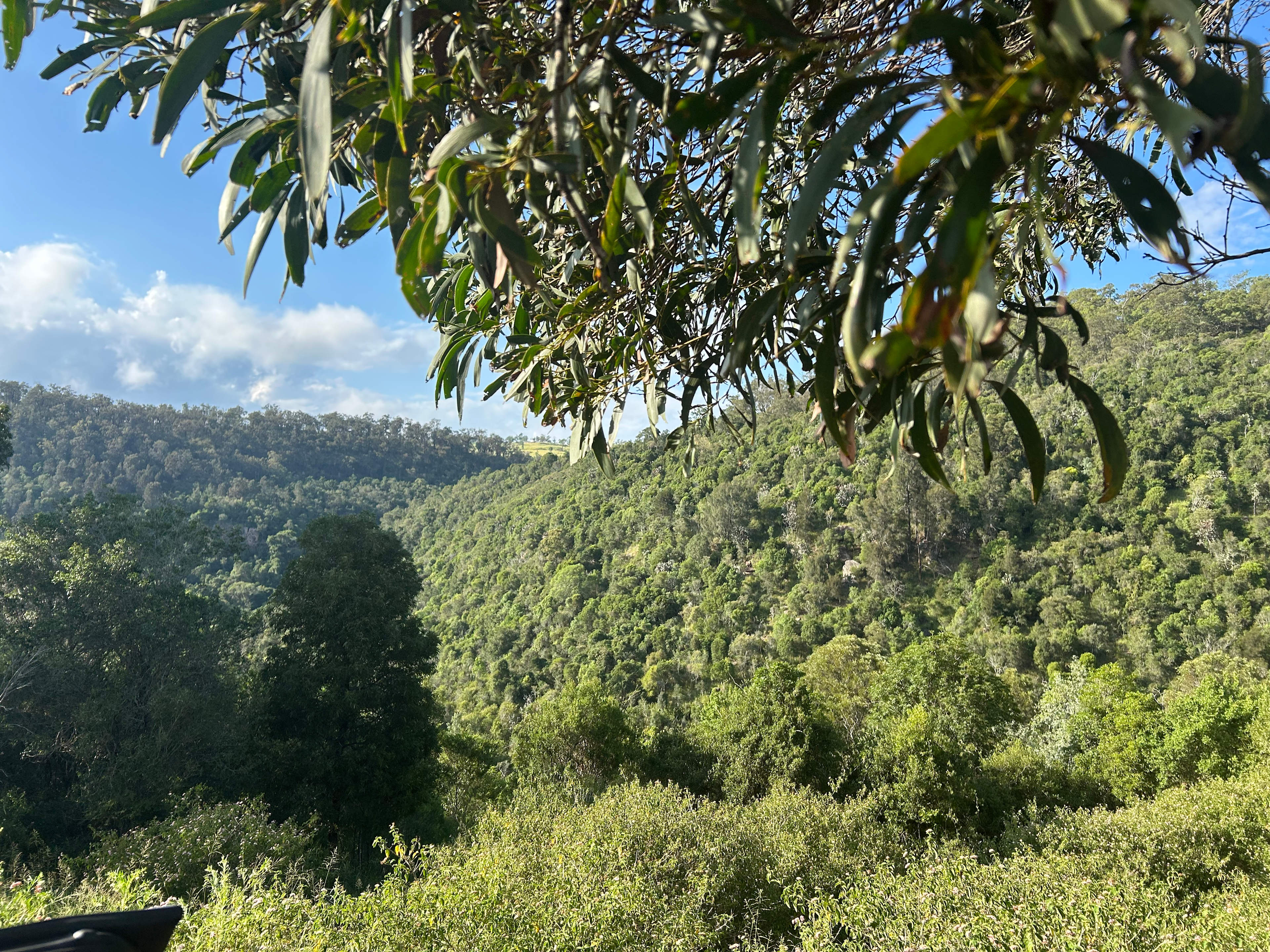 Ridge Prospect