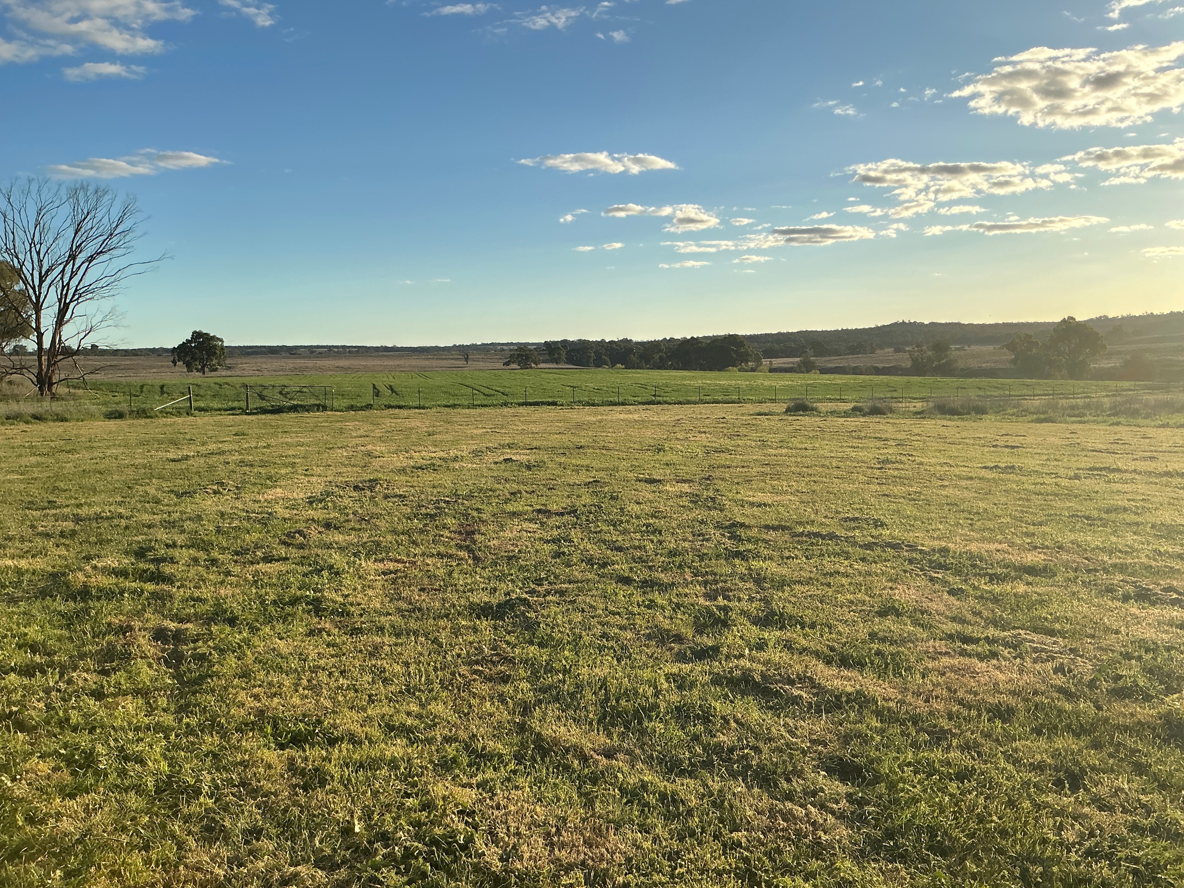 Popagundi River - Warrumbungle Way