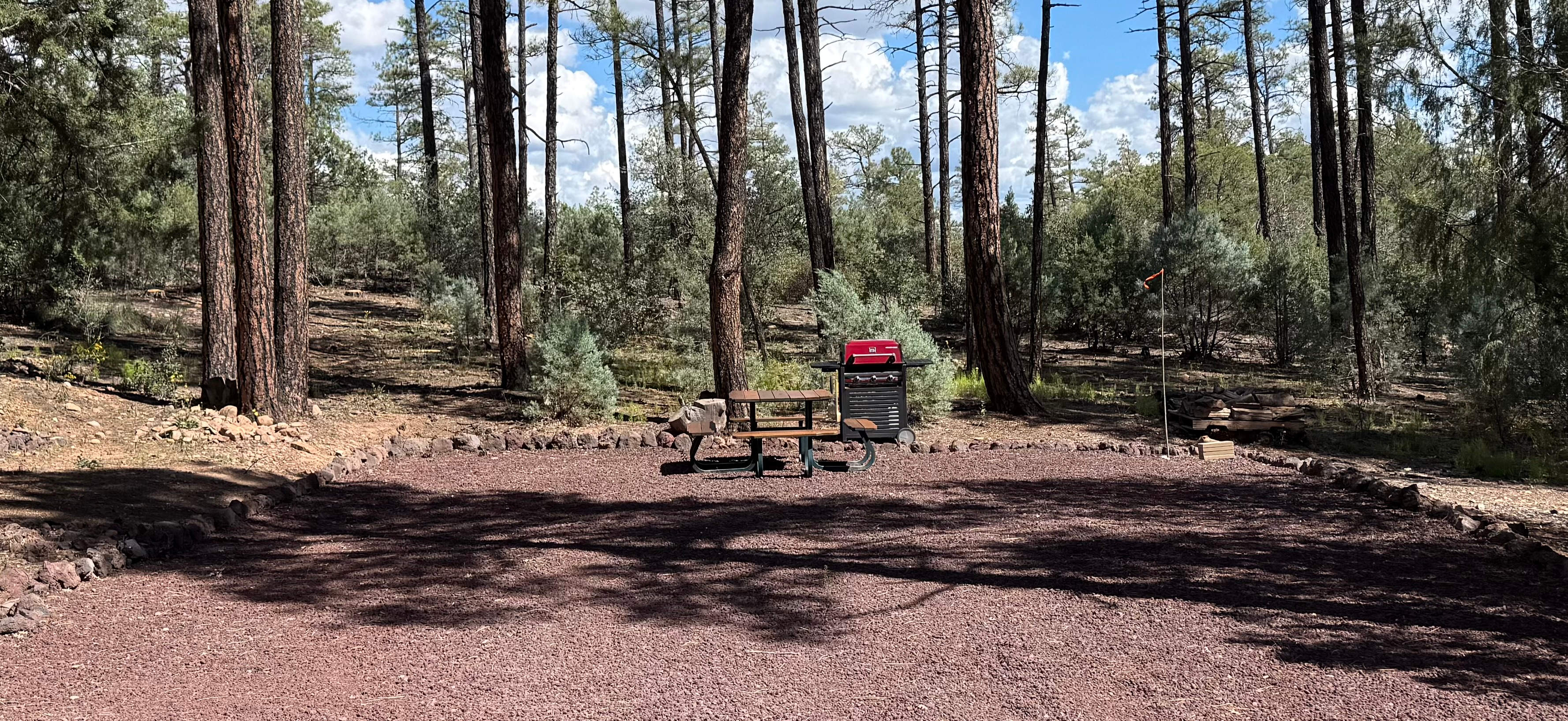 Elk Run - Show Low