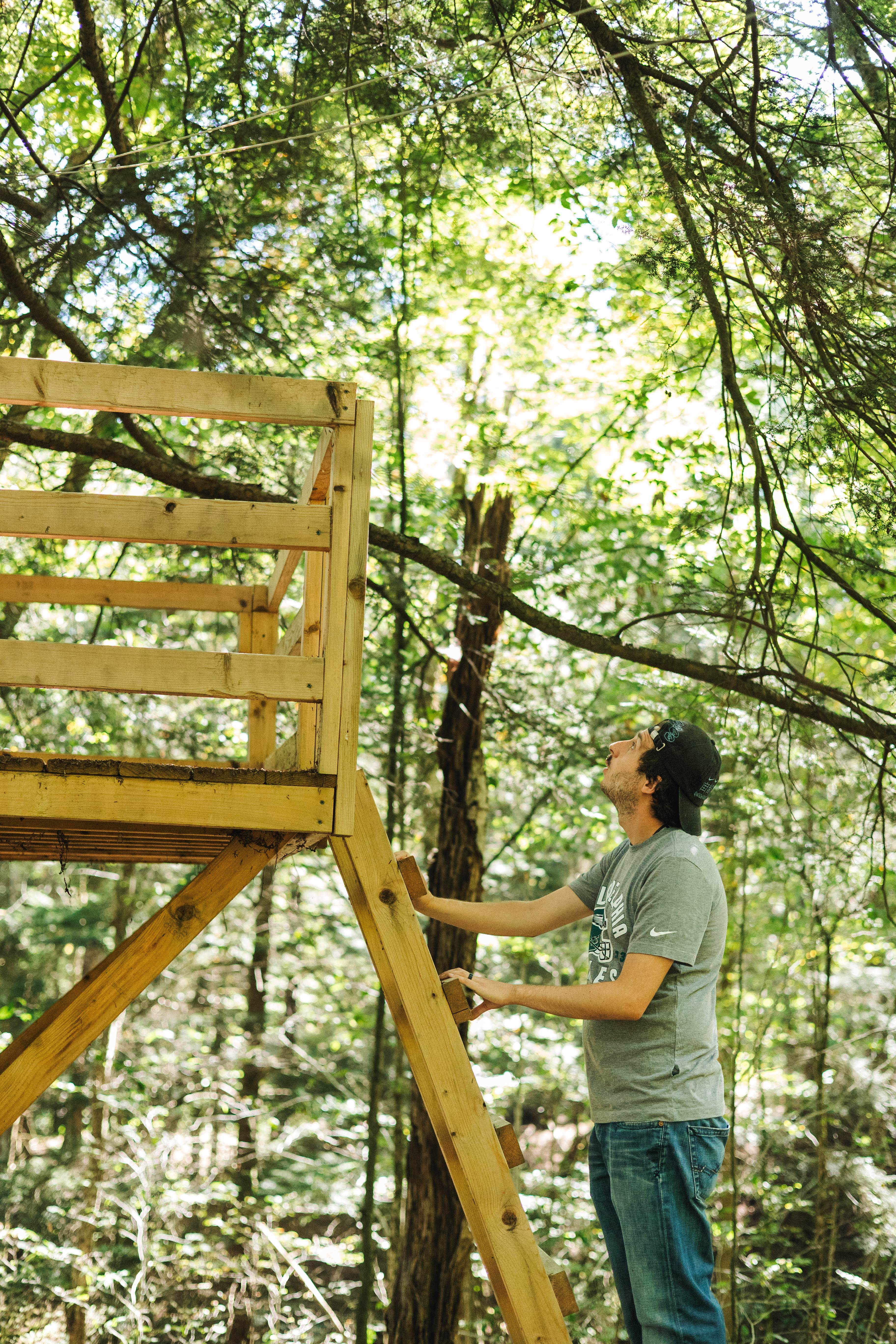 The sweetest treehouse