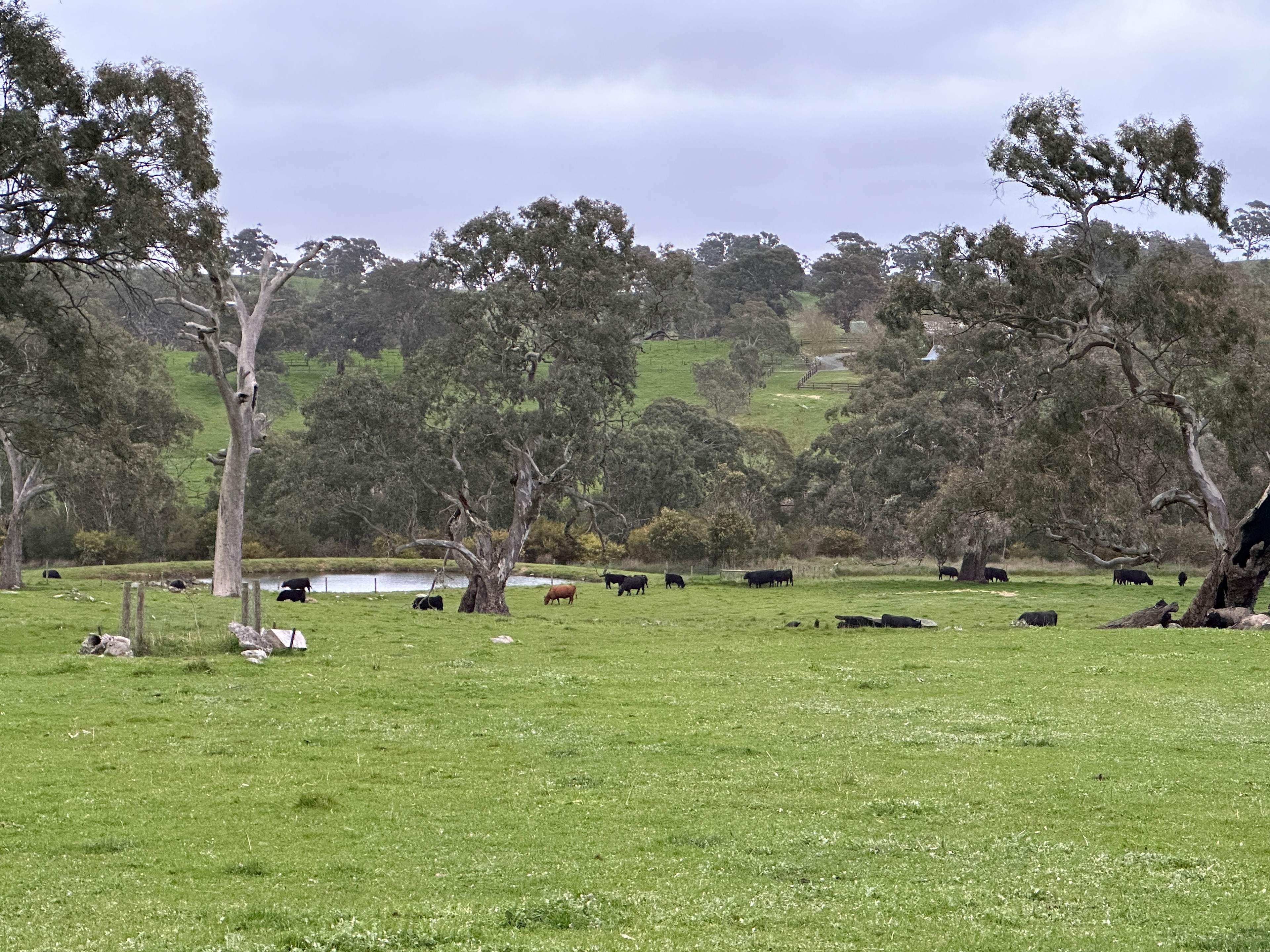 Woodside Farm Stay Adelaide Hills