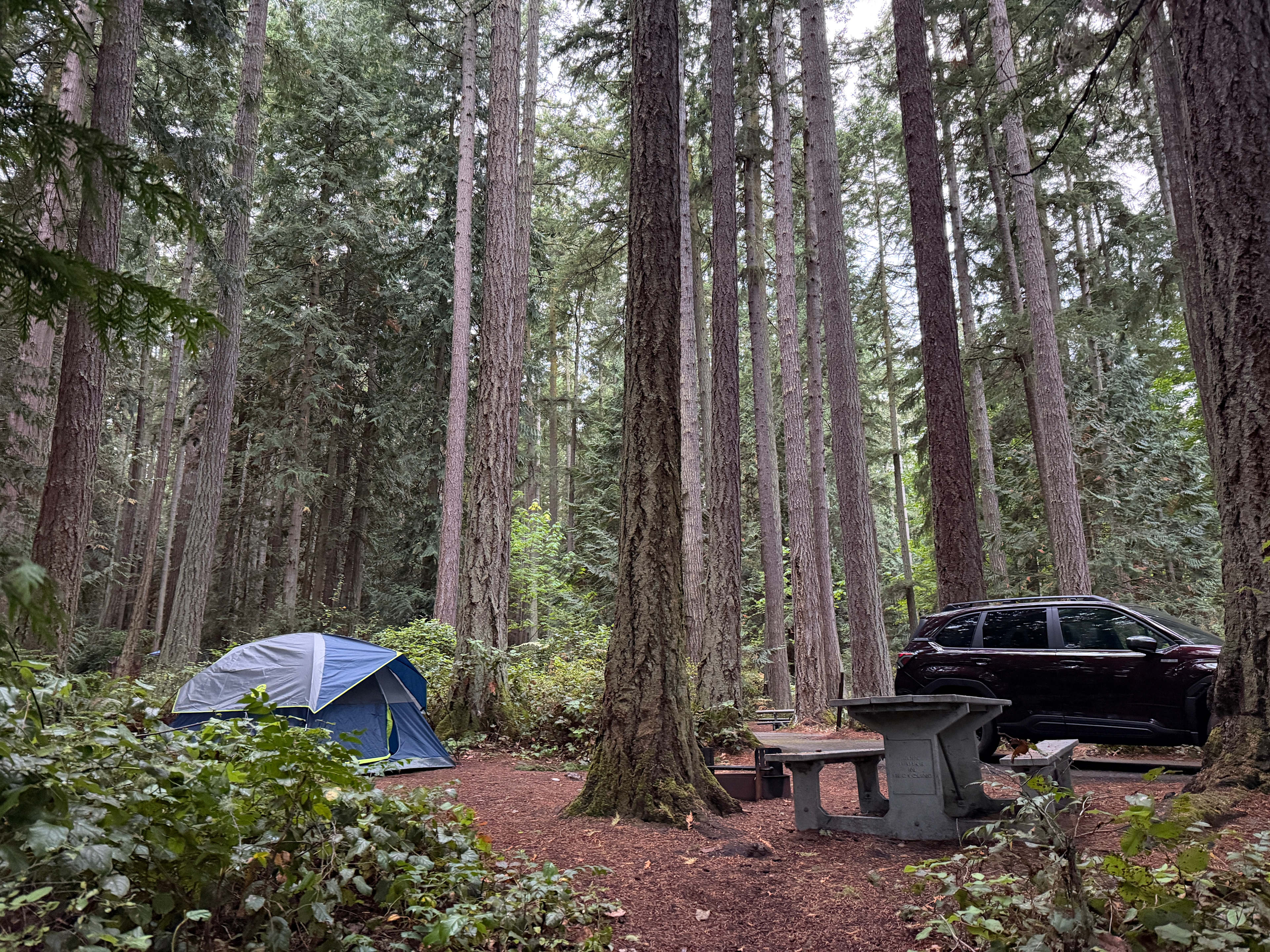 Site 25