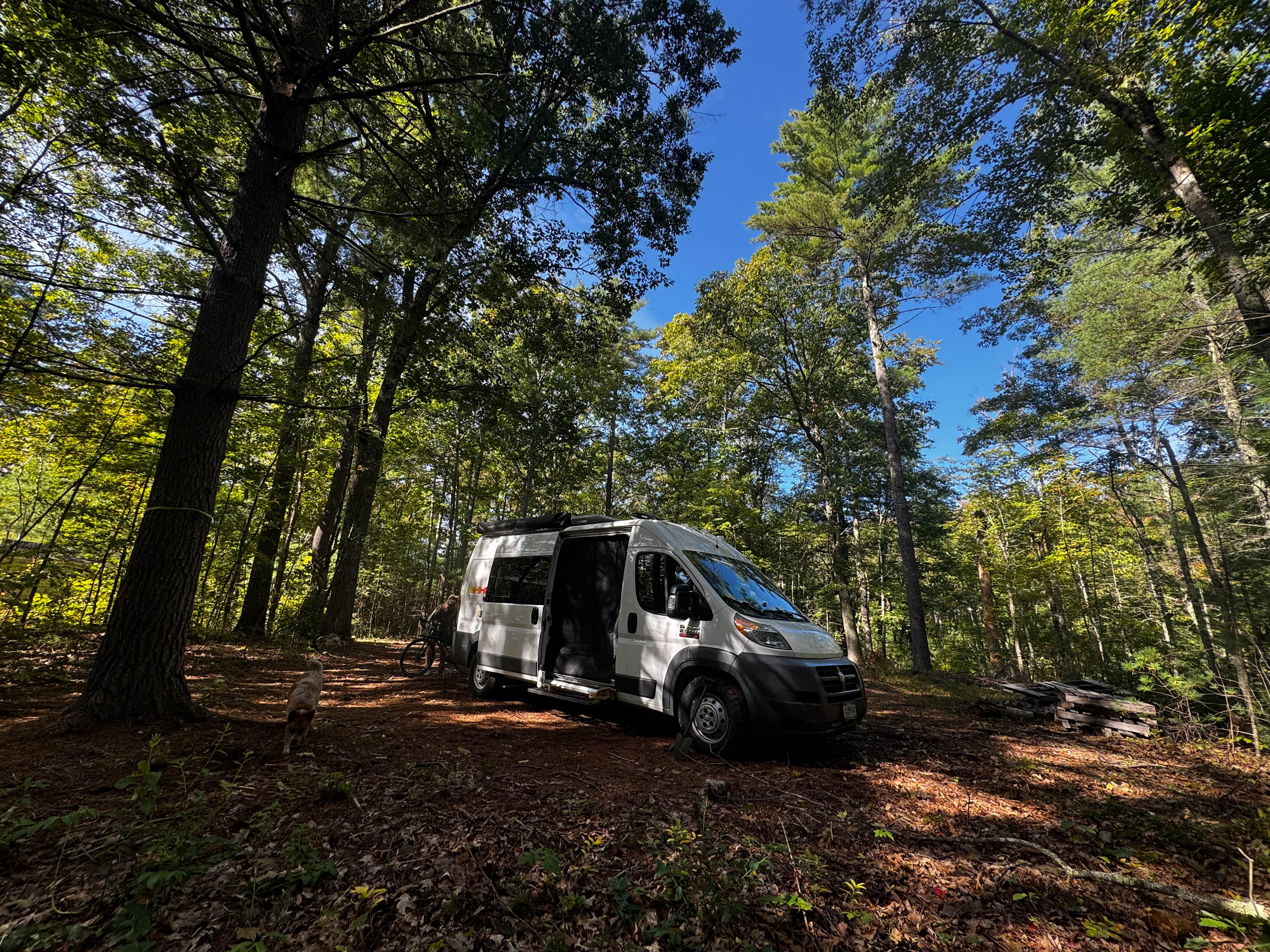 River View Campsite Escape